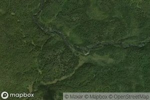 Cook Pond Outlet