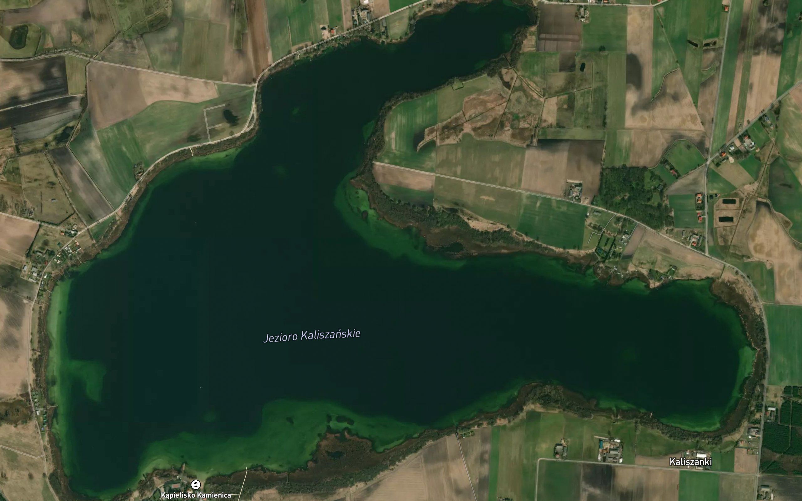 Jezioro Kaliszanskie