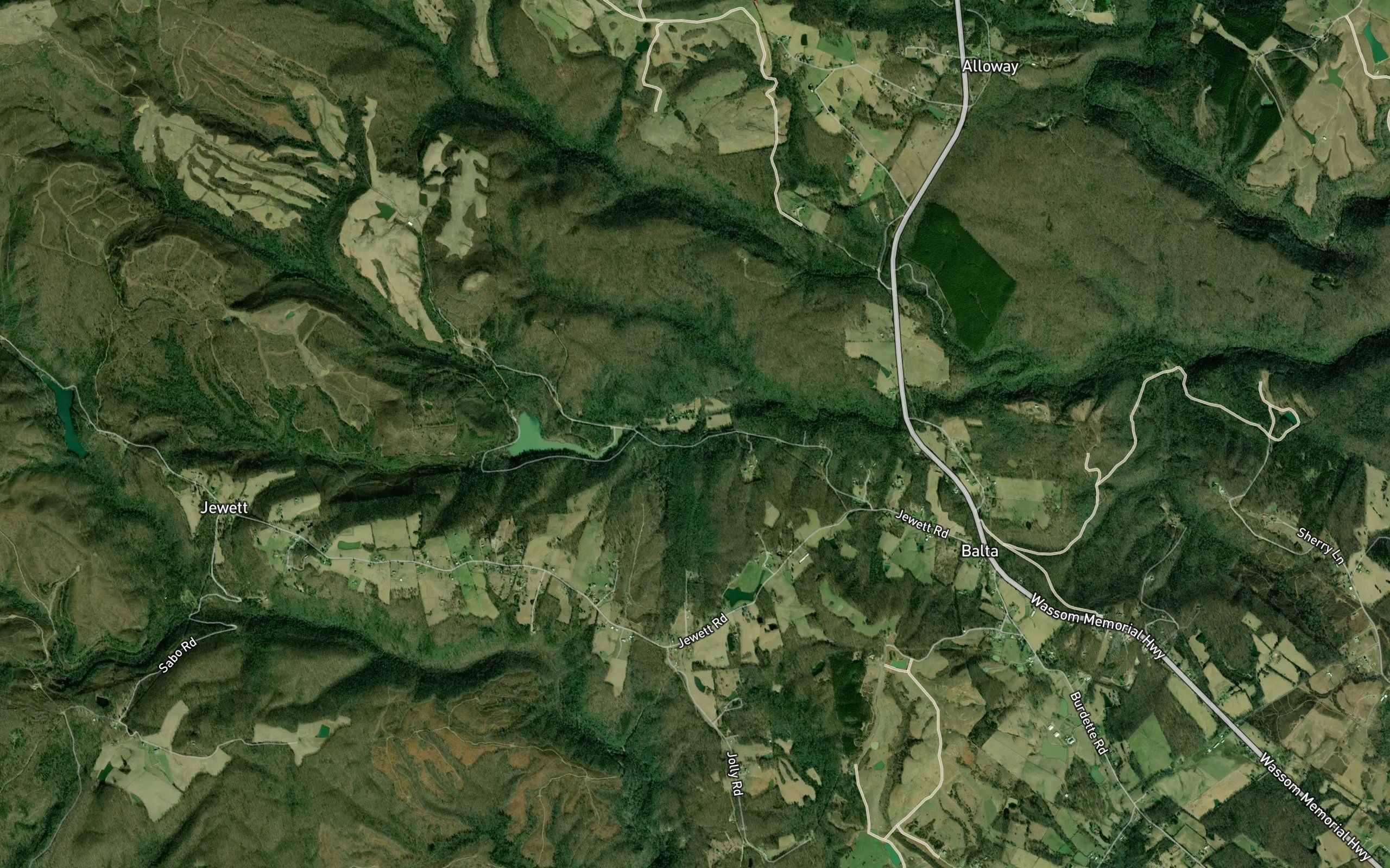 Laurel Branch