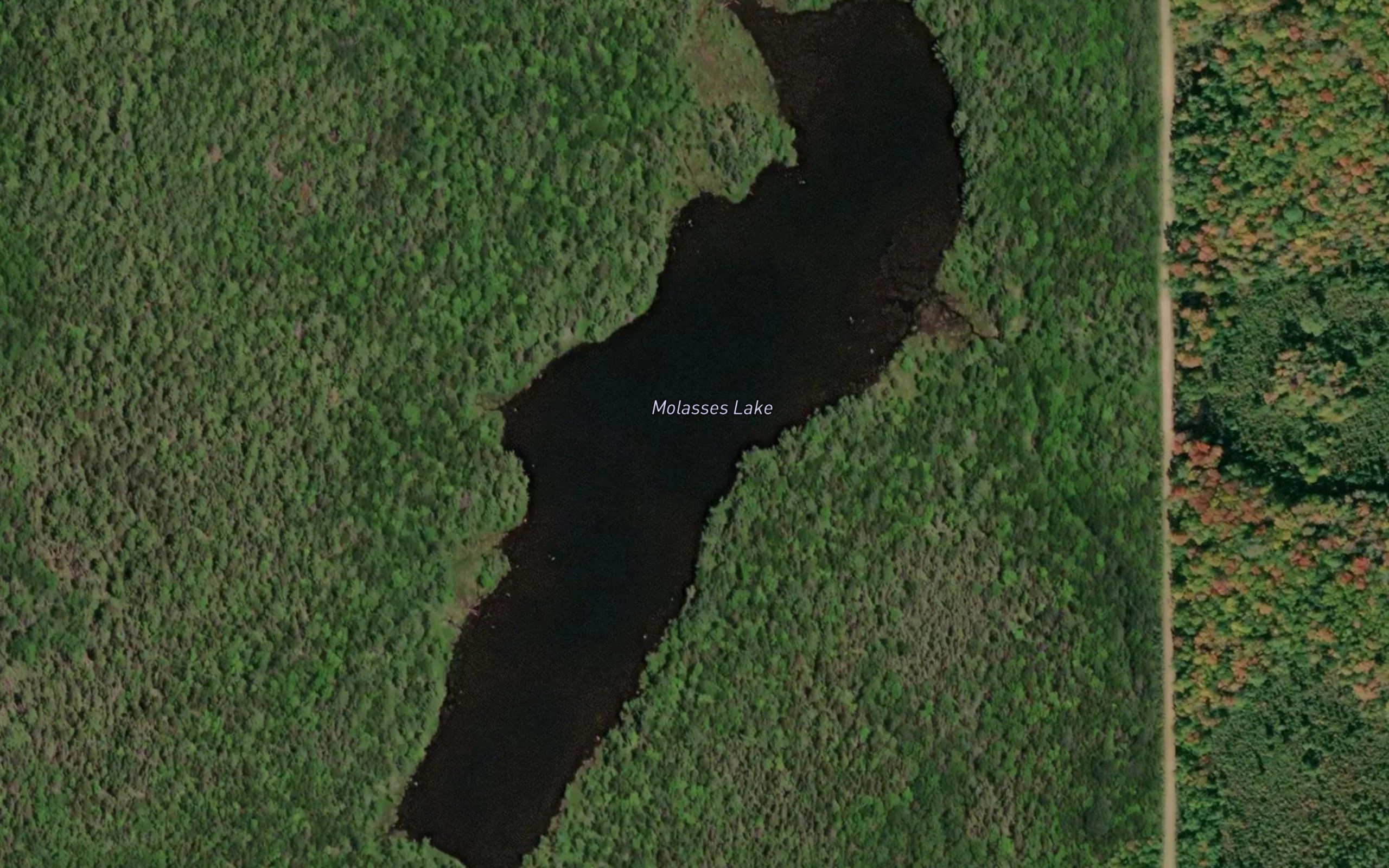 Molasses Lake
