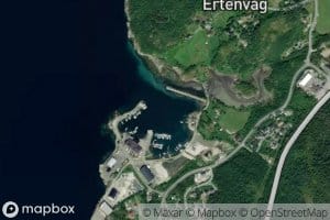 Ertenvagosen