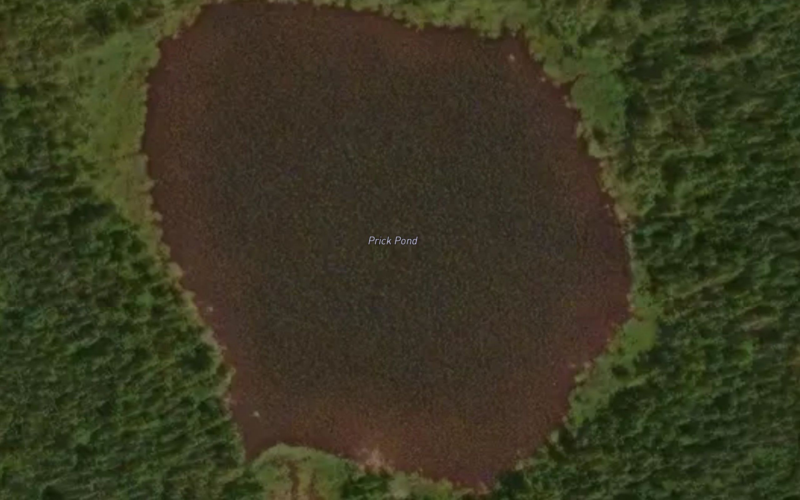 Prick Pond