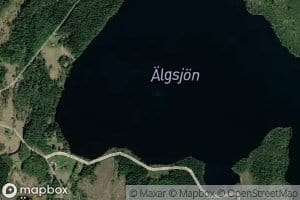 Algsjon