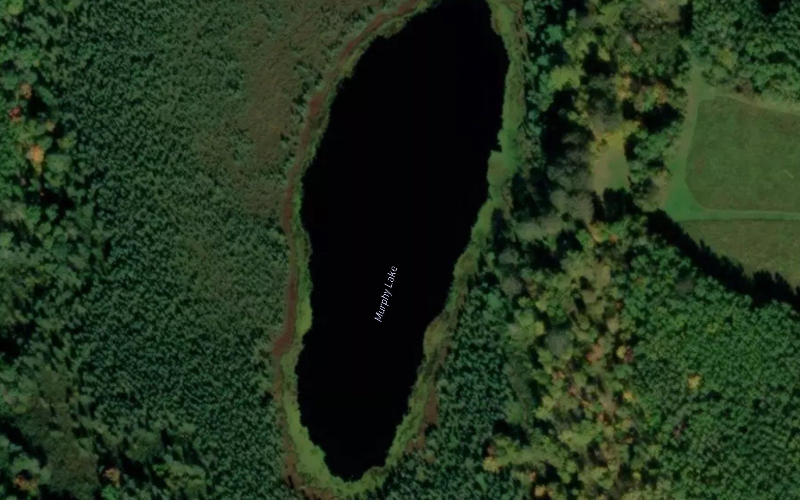 Murphy Lake