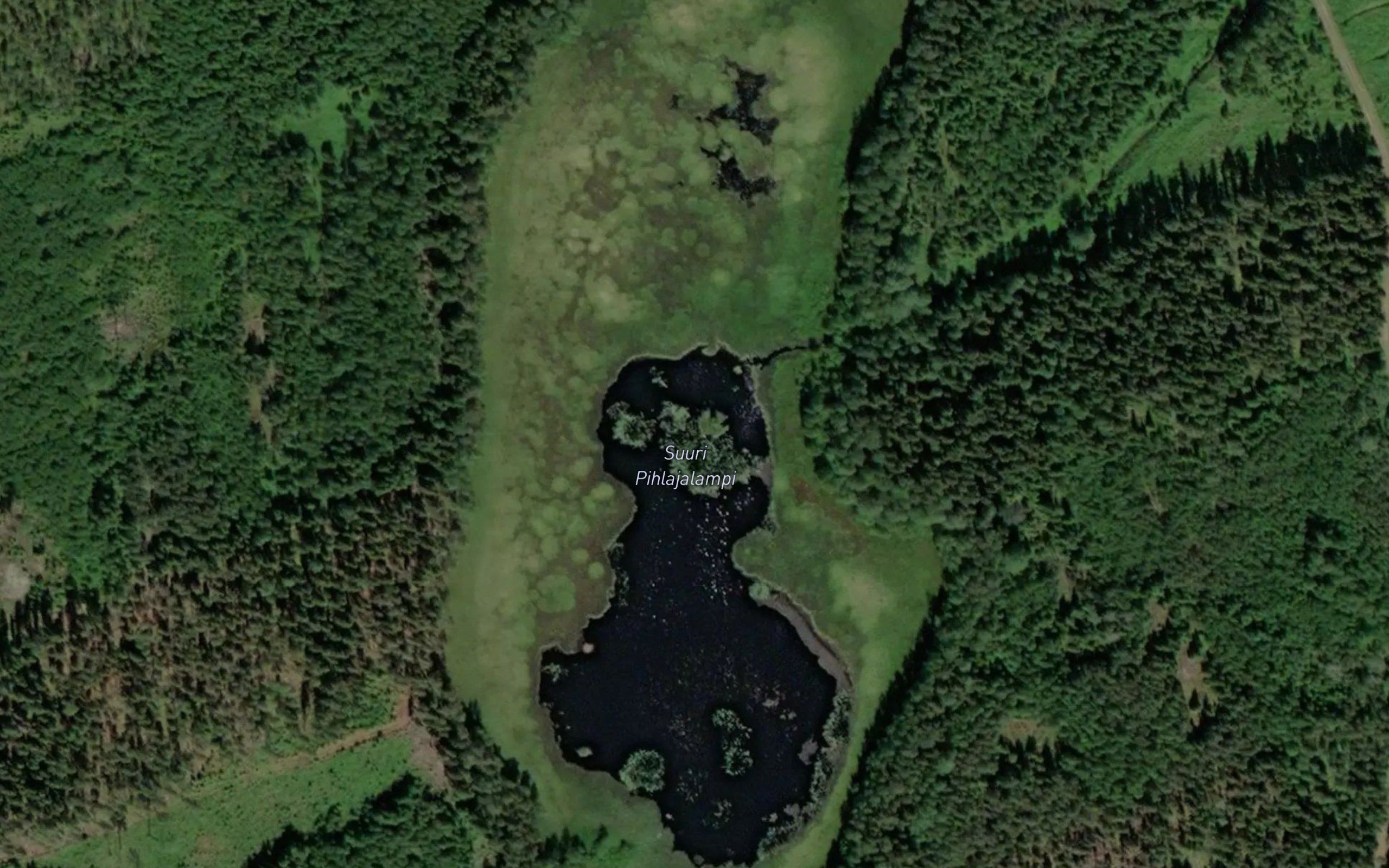 Suuri Pihlajalampi