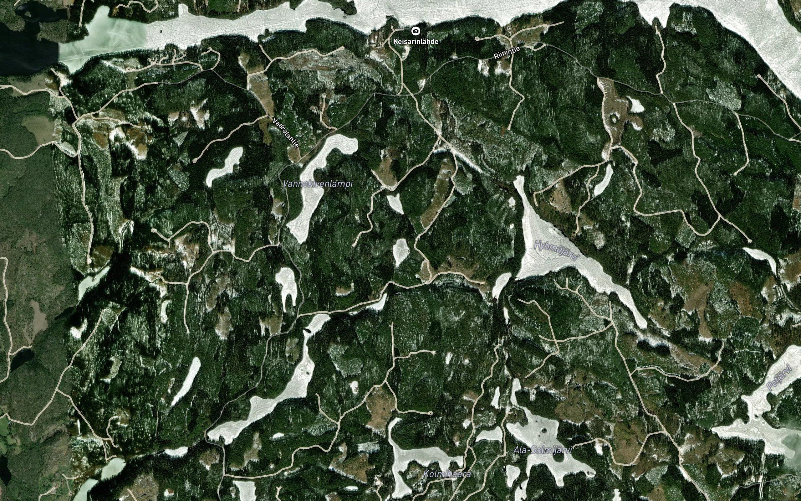 Kauralampi