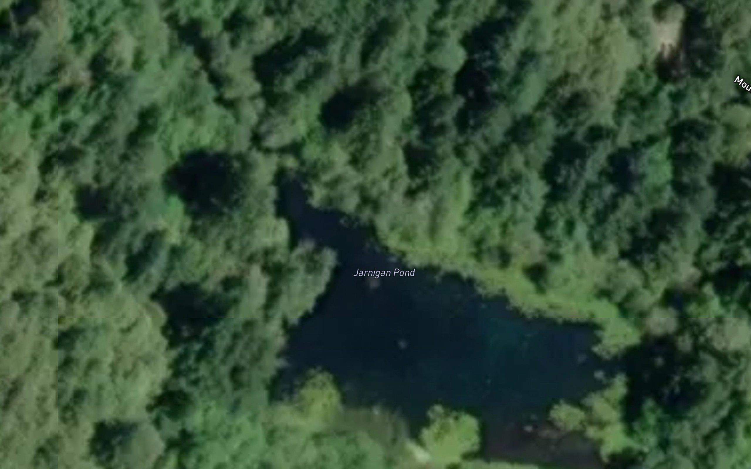 Jarnigan Pond
