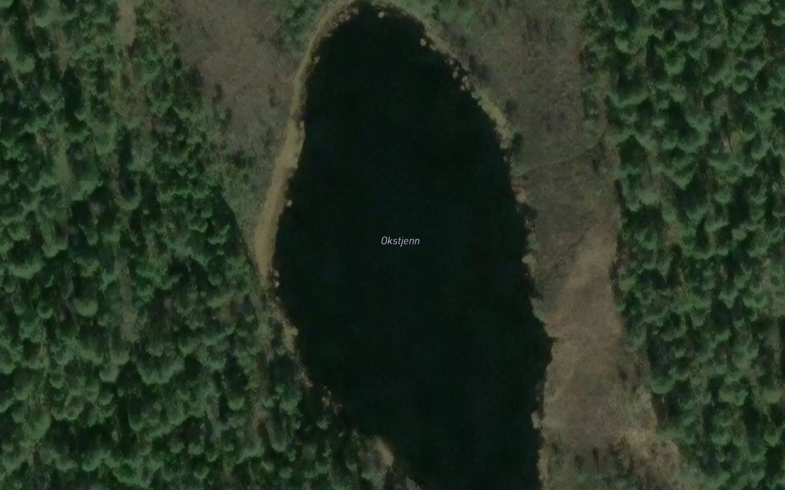 Okstjern