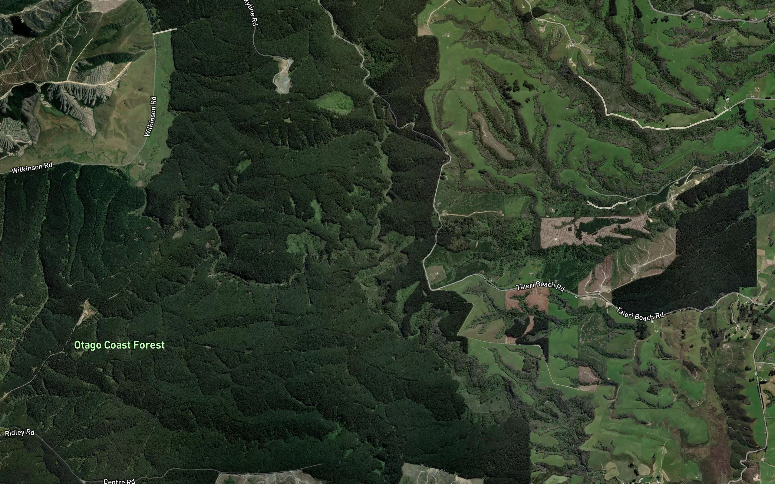 Akatore Creek