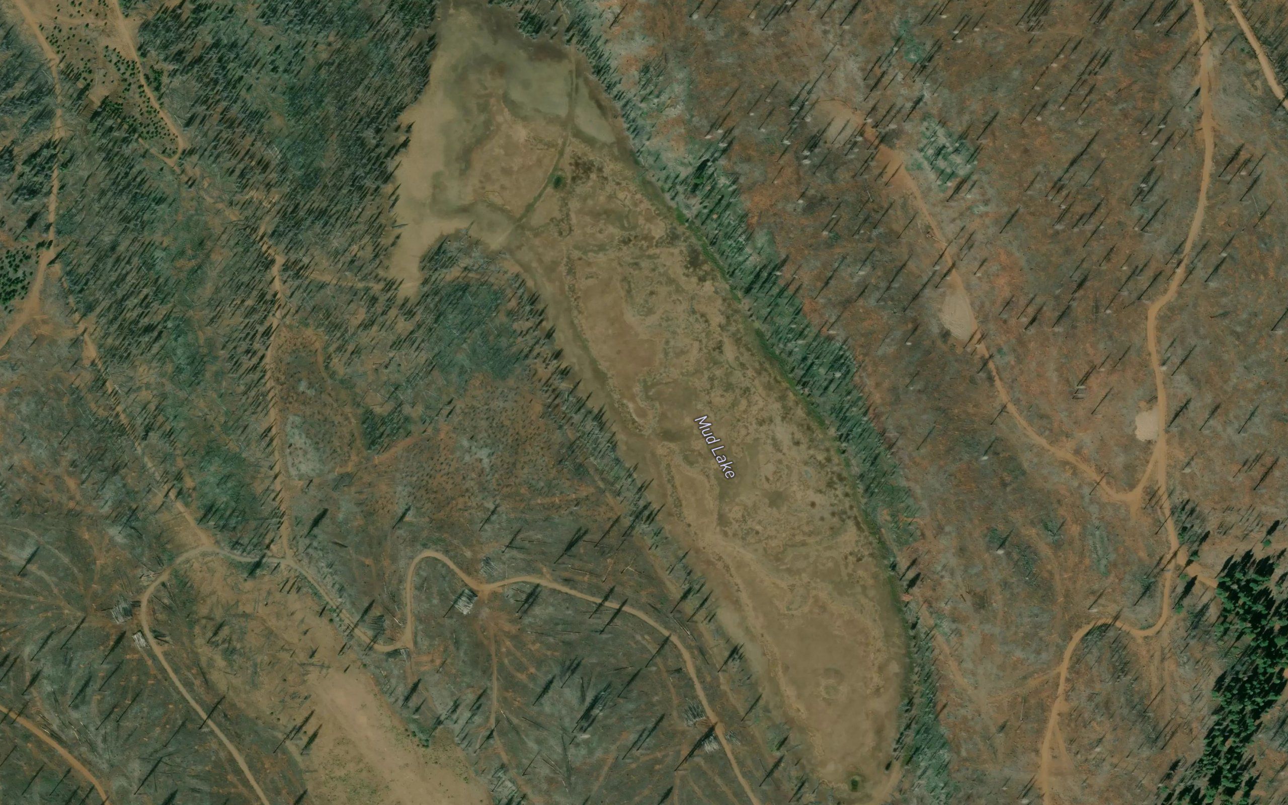 Mud Lake