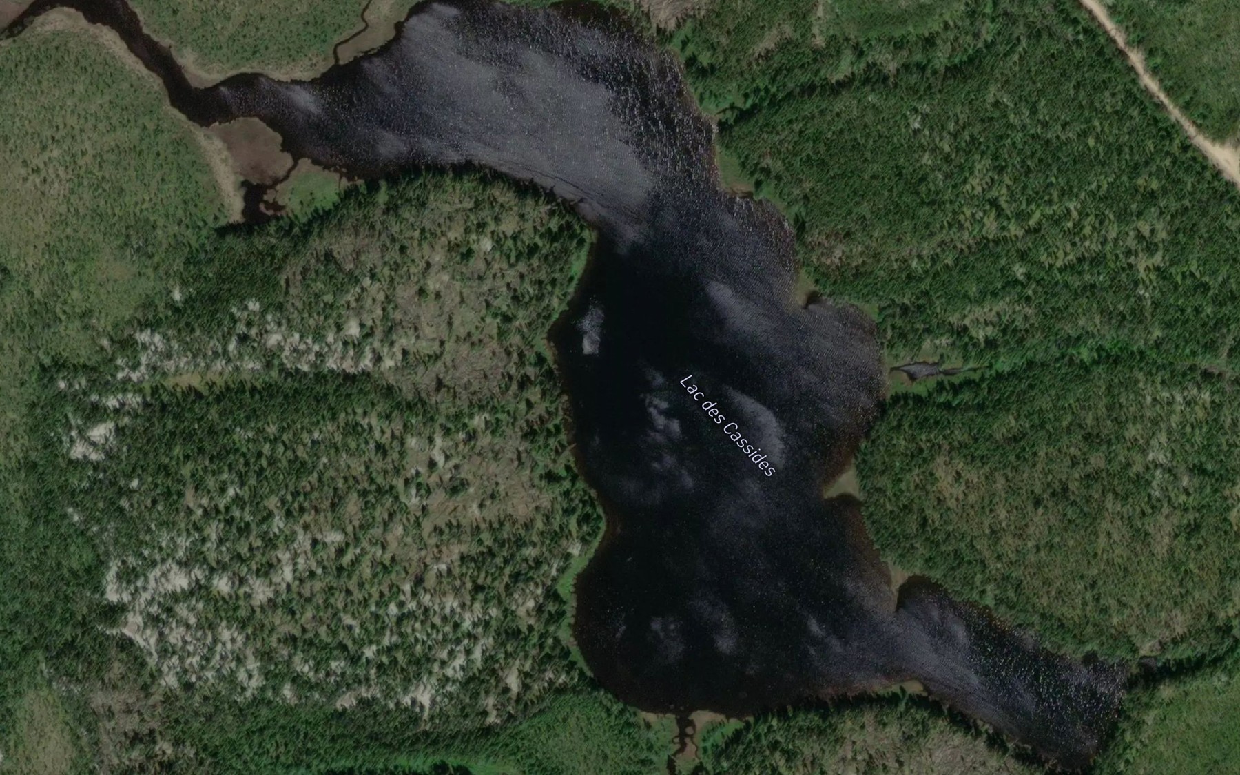 Satellite map of the Lac des Cassides