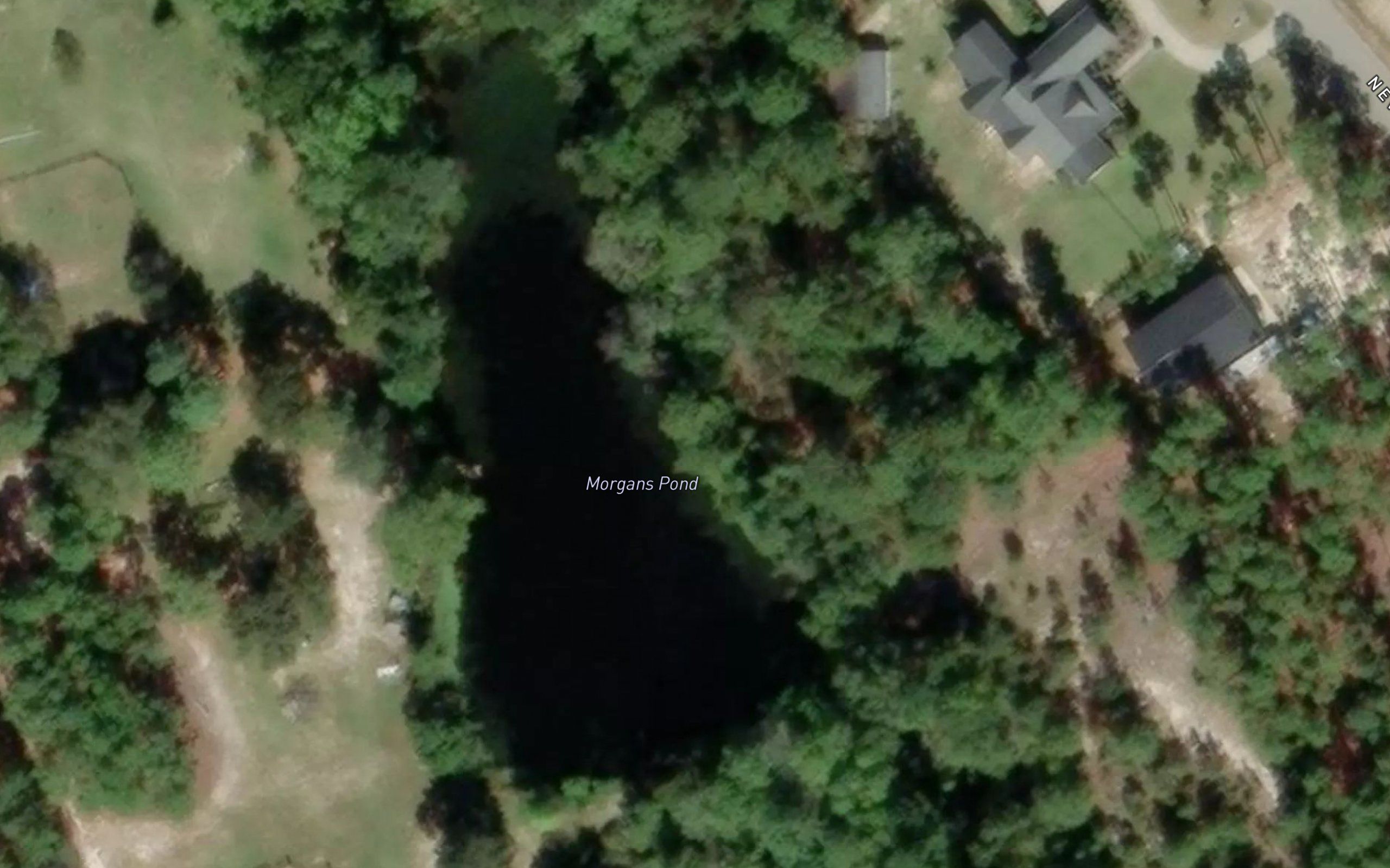 Morgans Pond