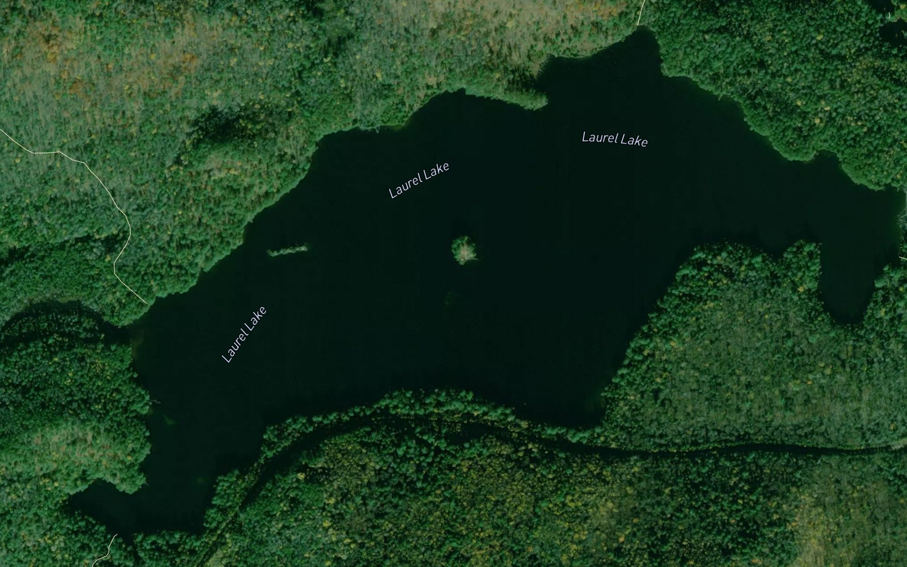 Satellite map of the Laurel Lake