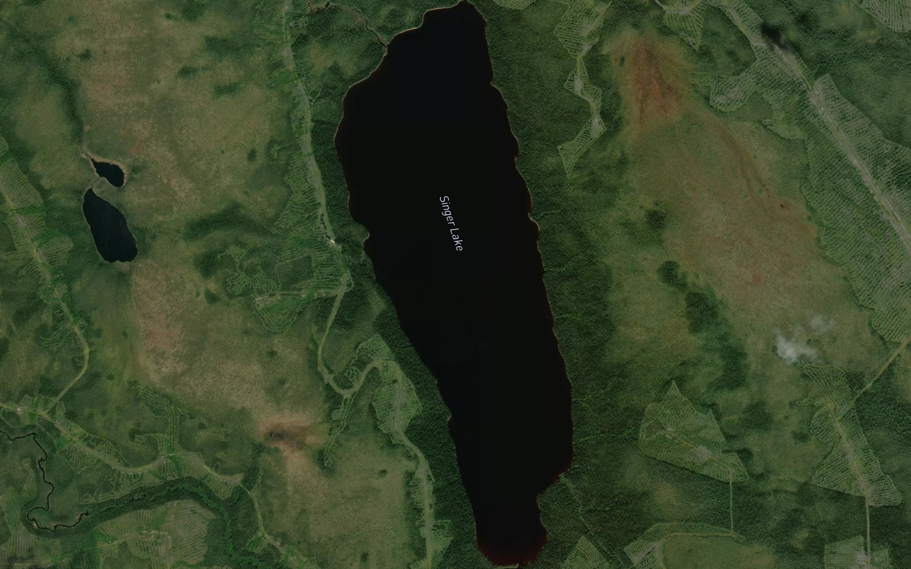 Satellite map of the Singer Lake