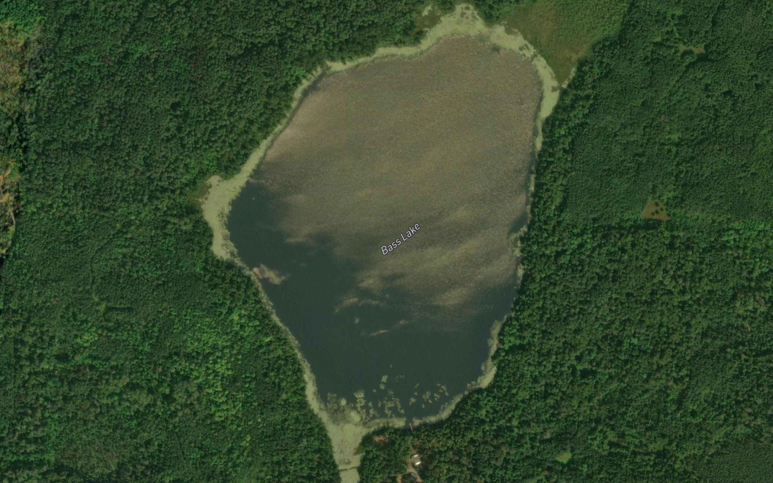 Bass Lake