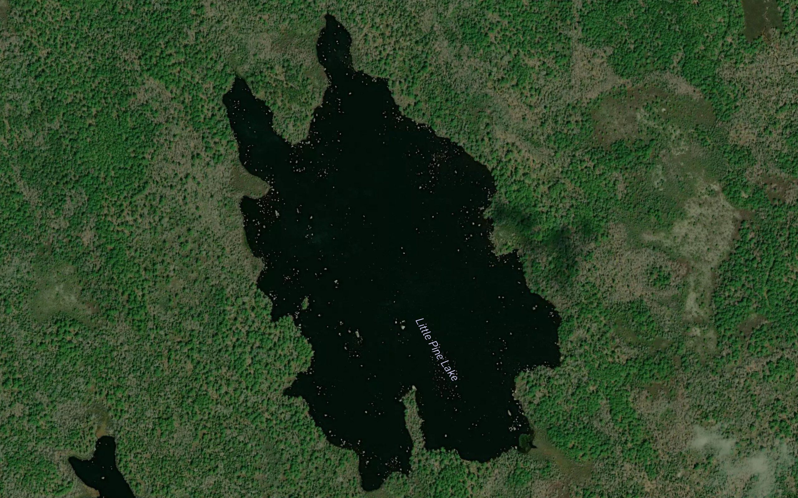 Little Pine Lake