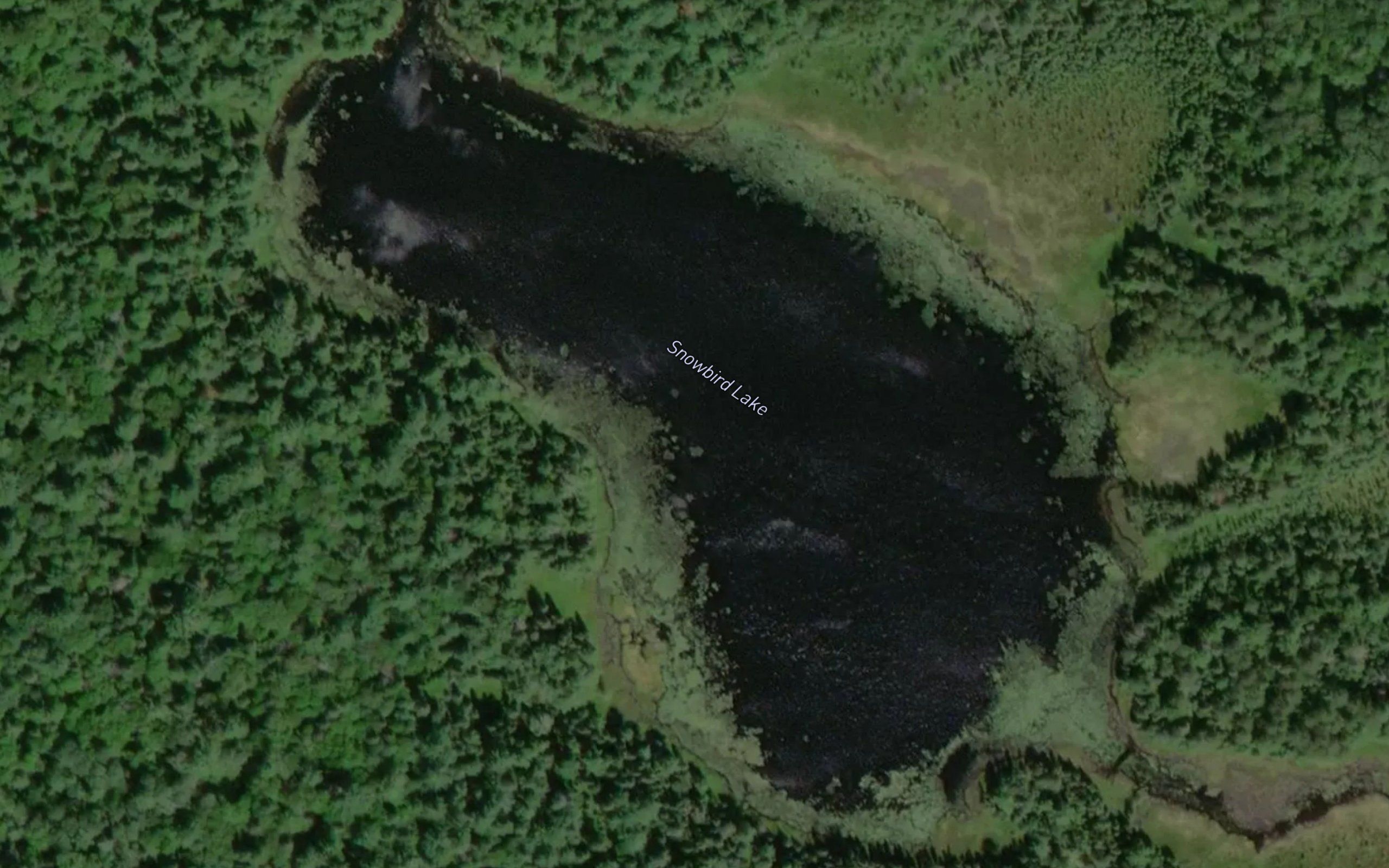Snowbird Lake