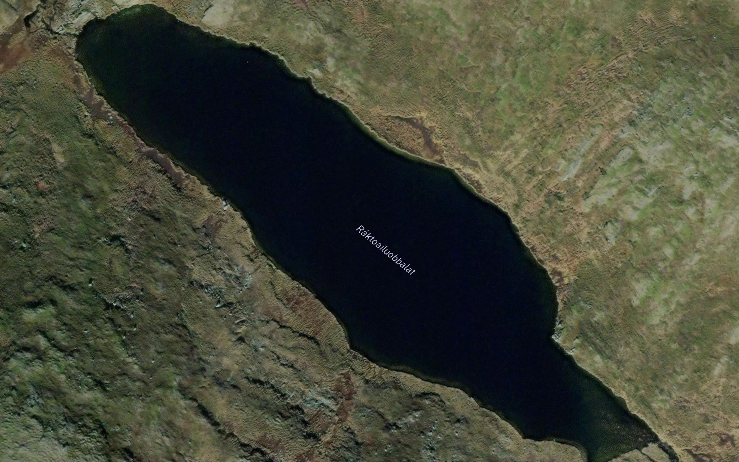 Raktoailuobbalat