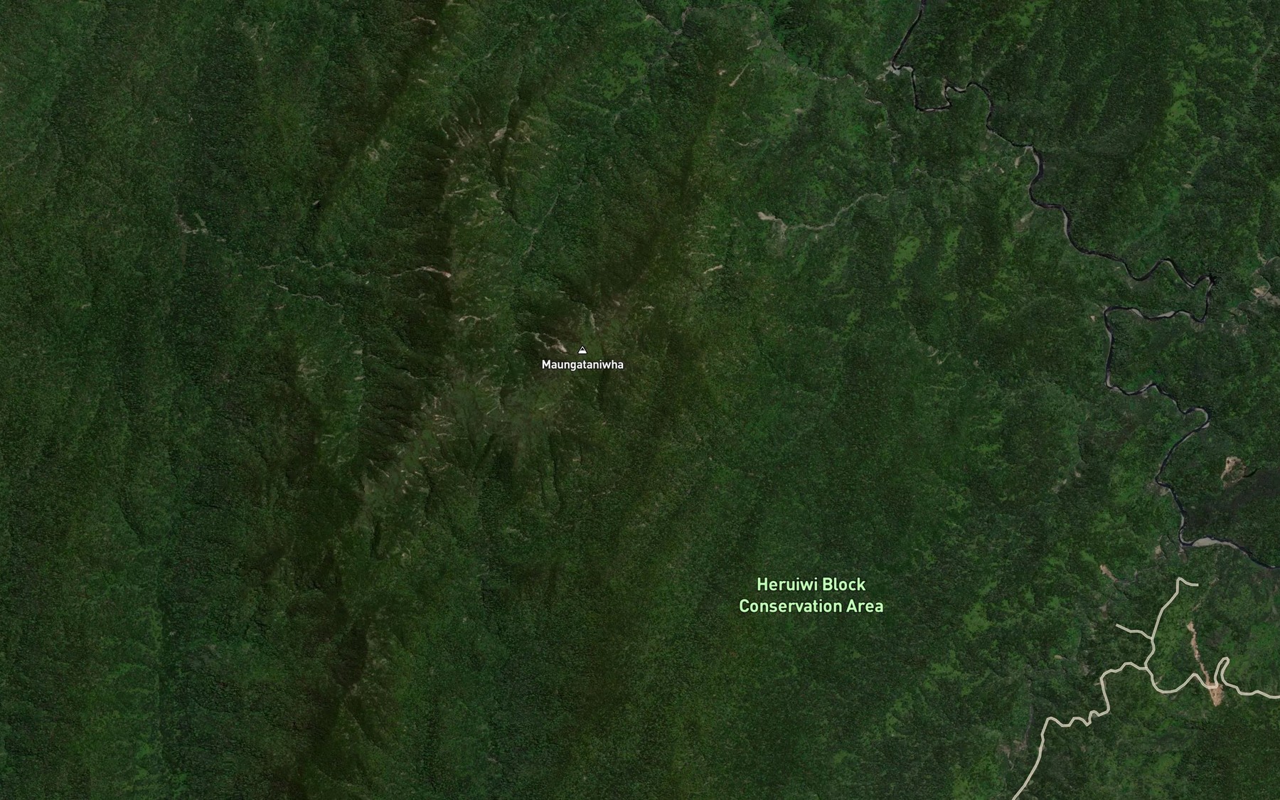 Satellite map of the Mangakahika Stream