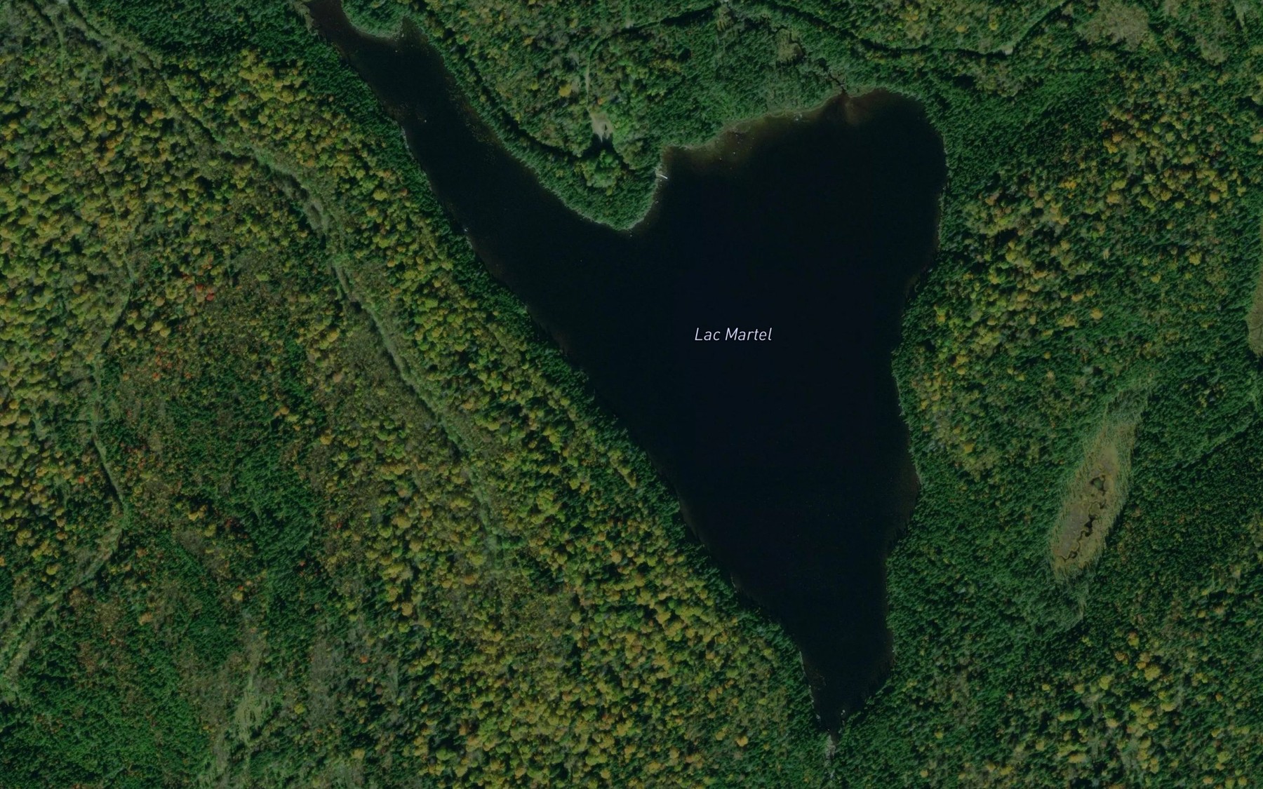 Satellite map of the Lac Martel
