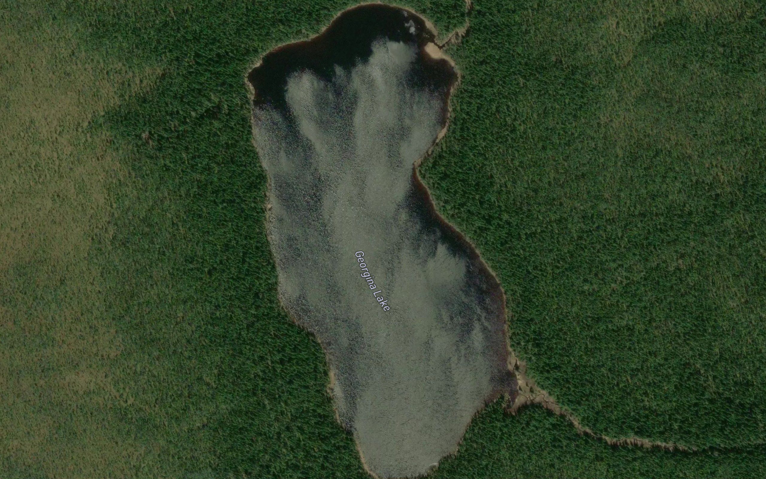 Georgina Lake