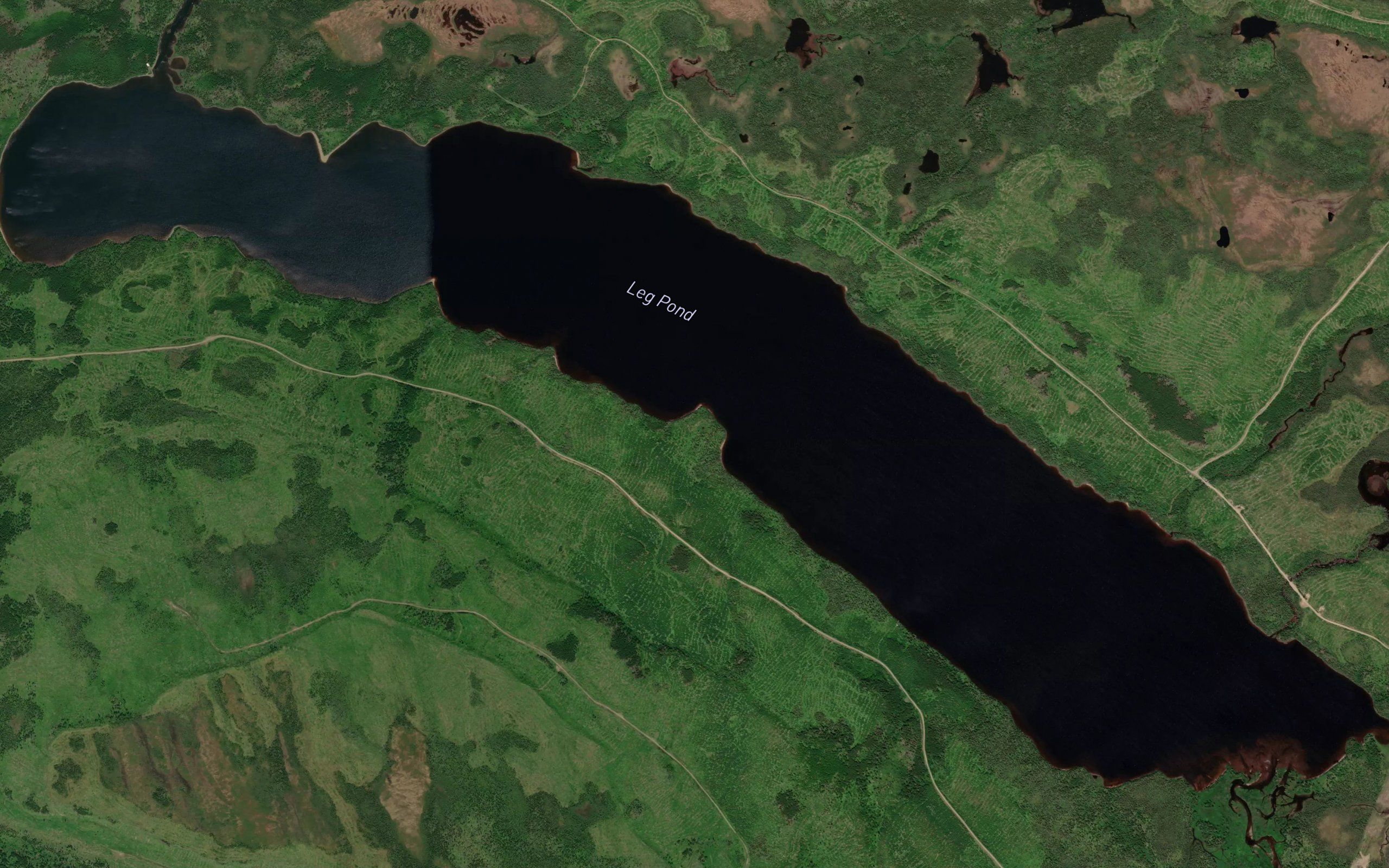 Leg Pond