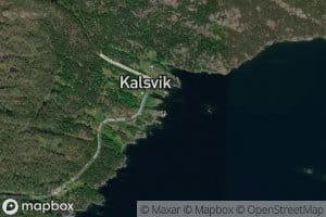 Hagevika