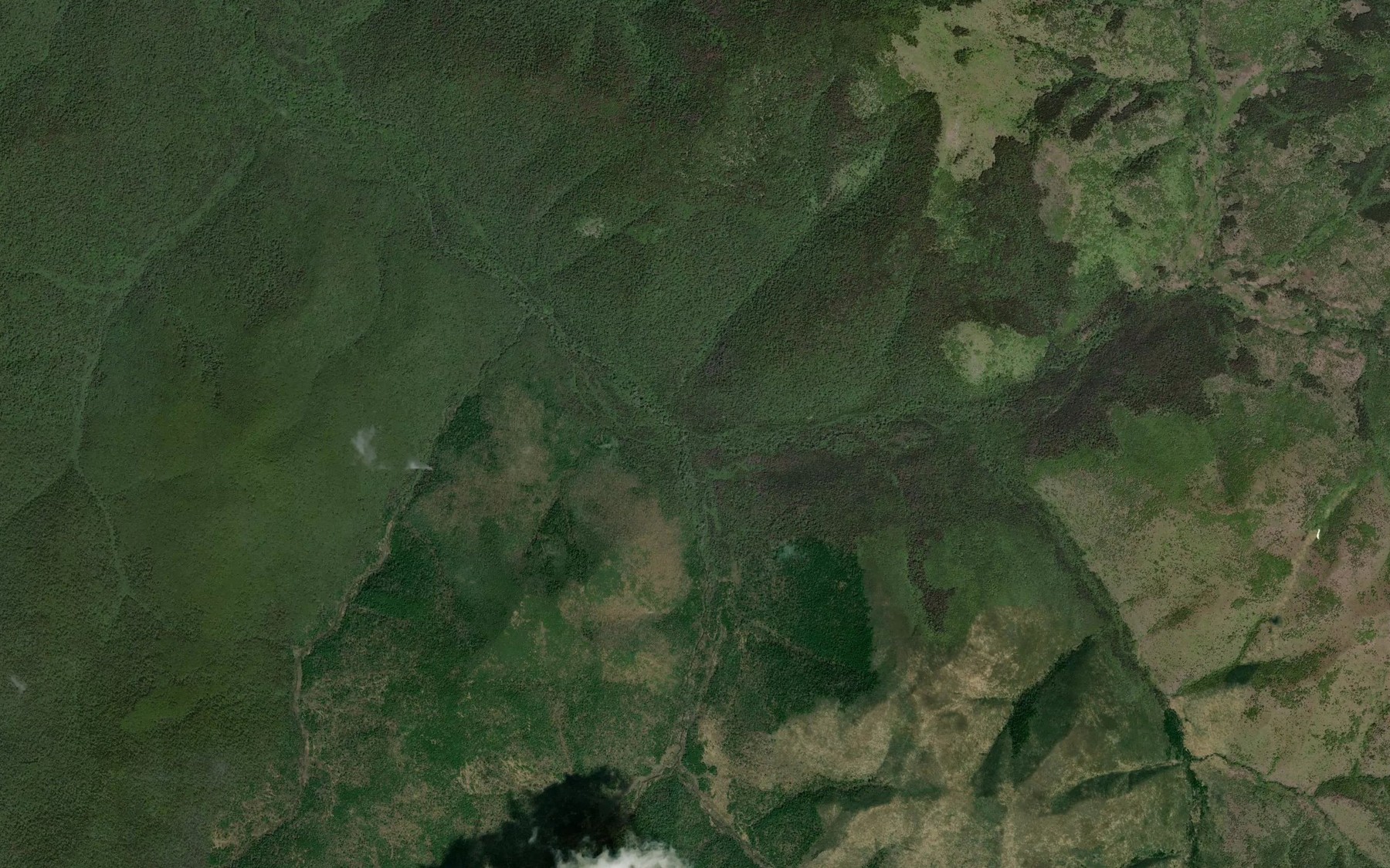 Satellite map of the Pravyye Mani