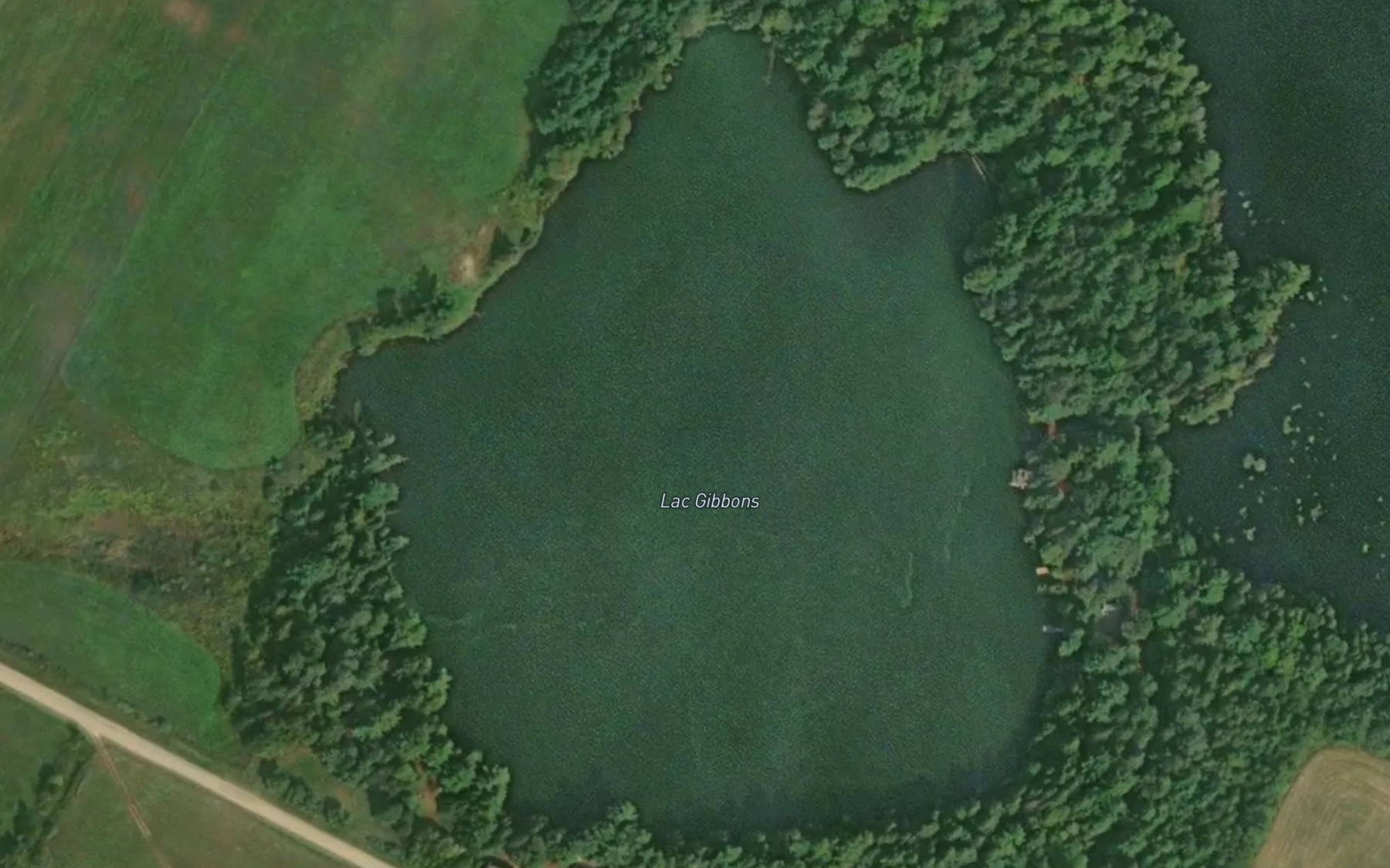 Satellite map of the Lac Gibbons