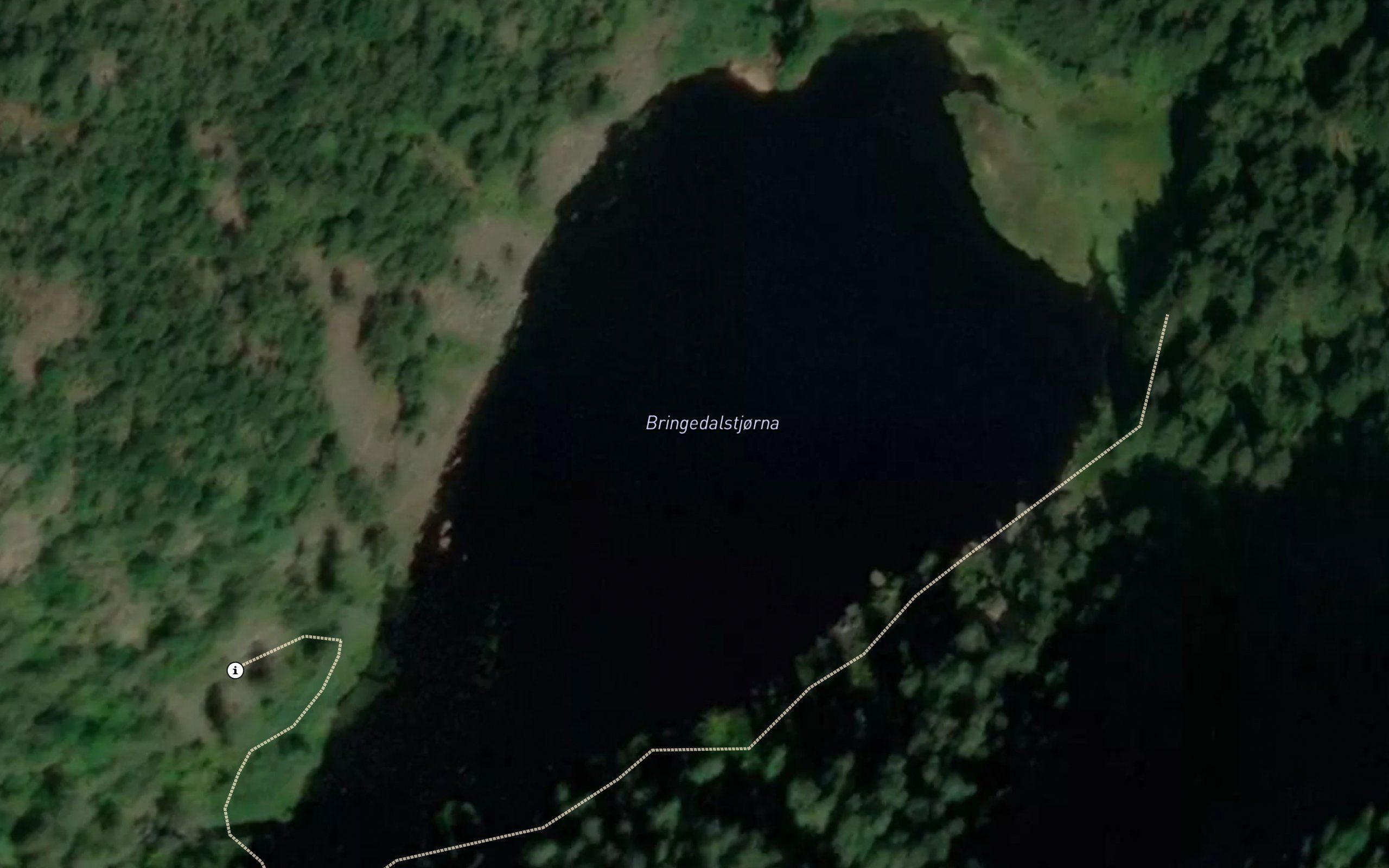 Bringedalstjorna