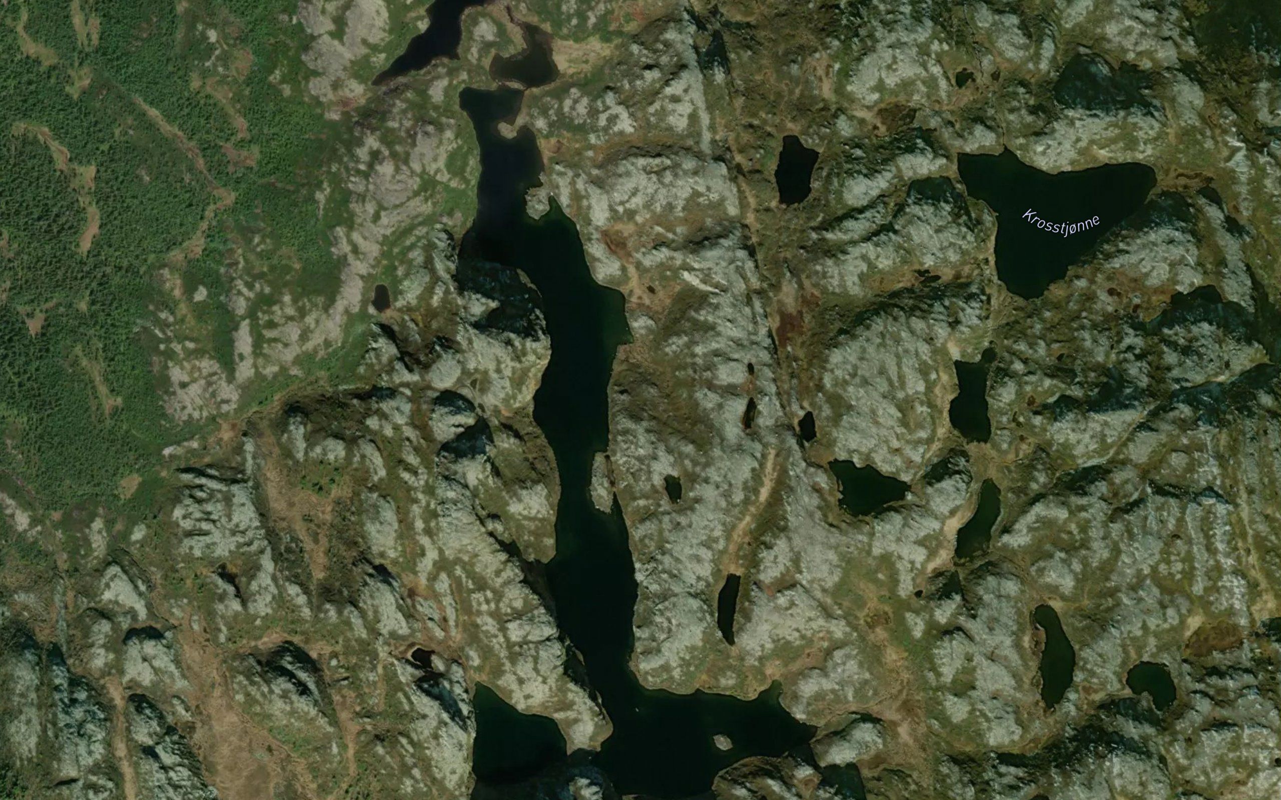 Langevatn