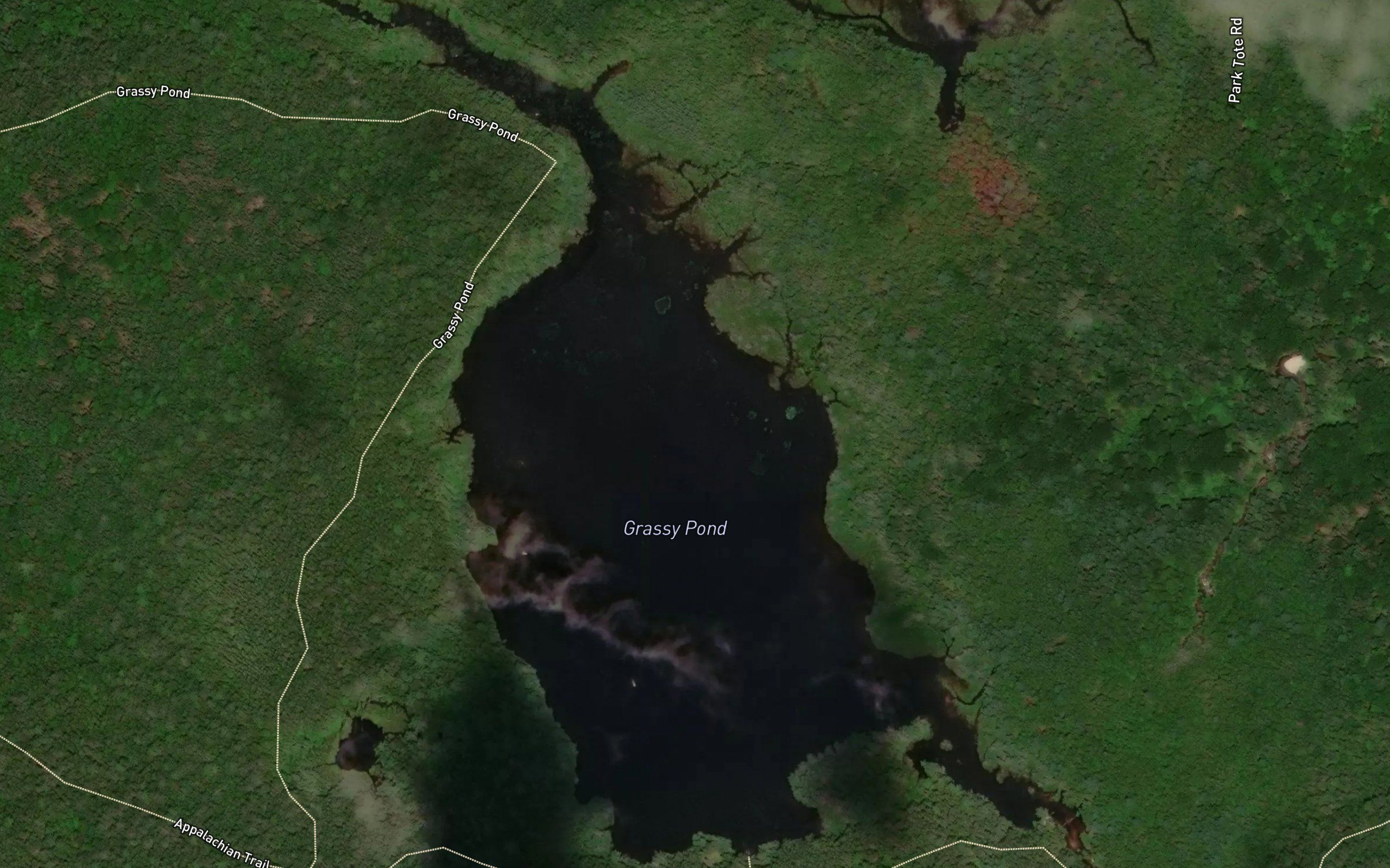 Grassy Pond