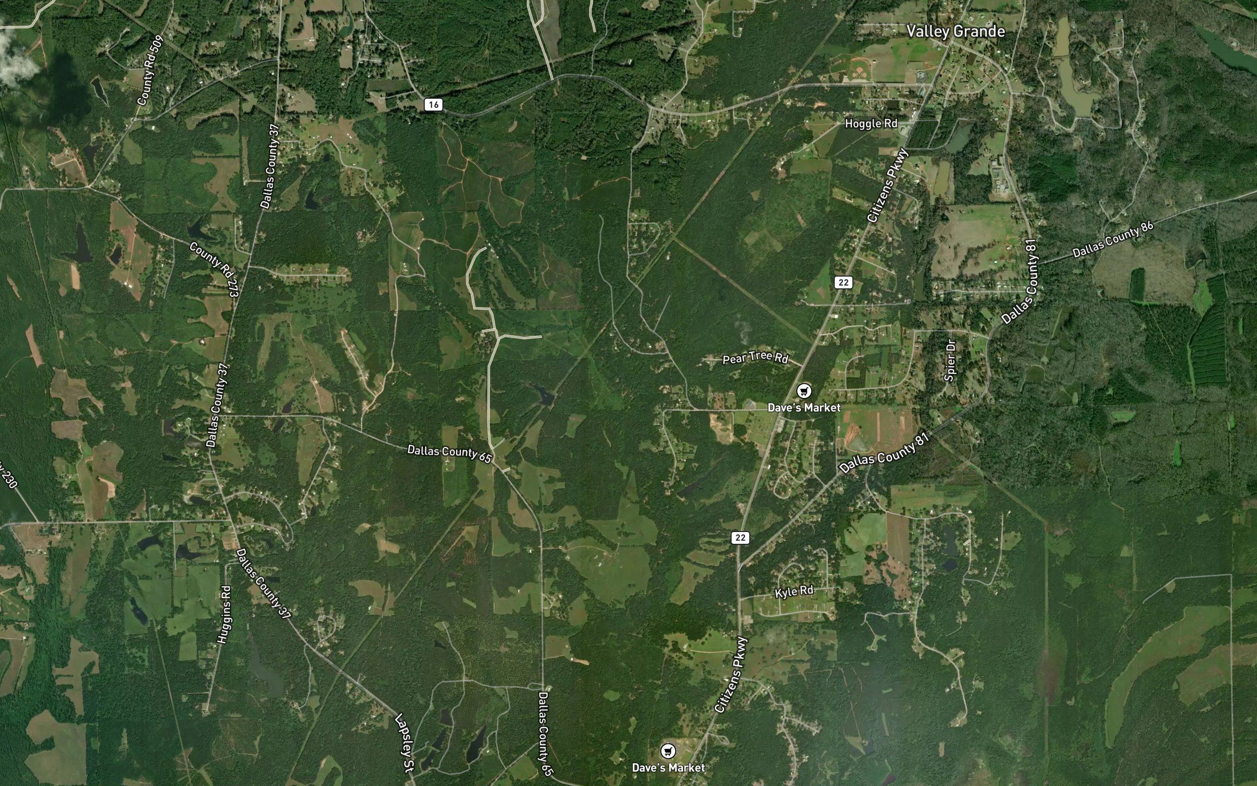 Moore Branch