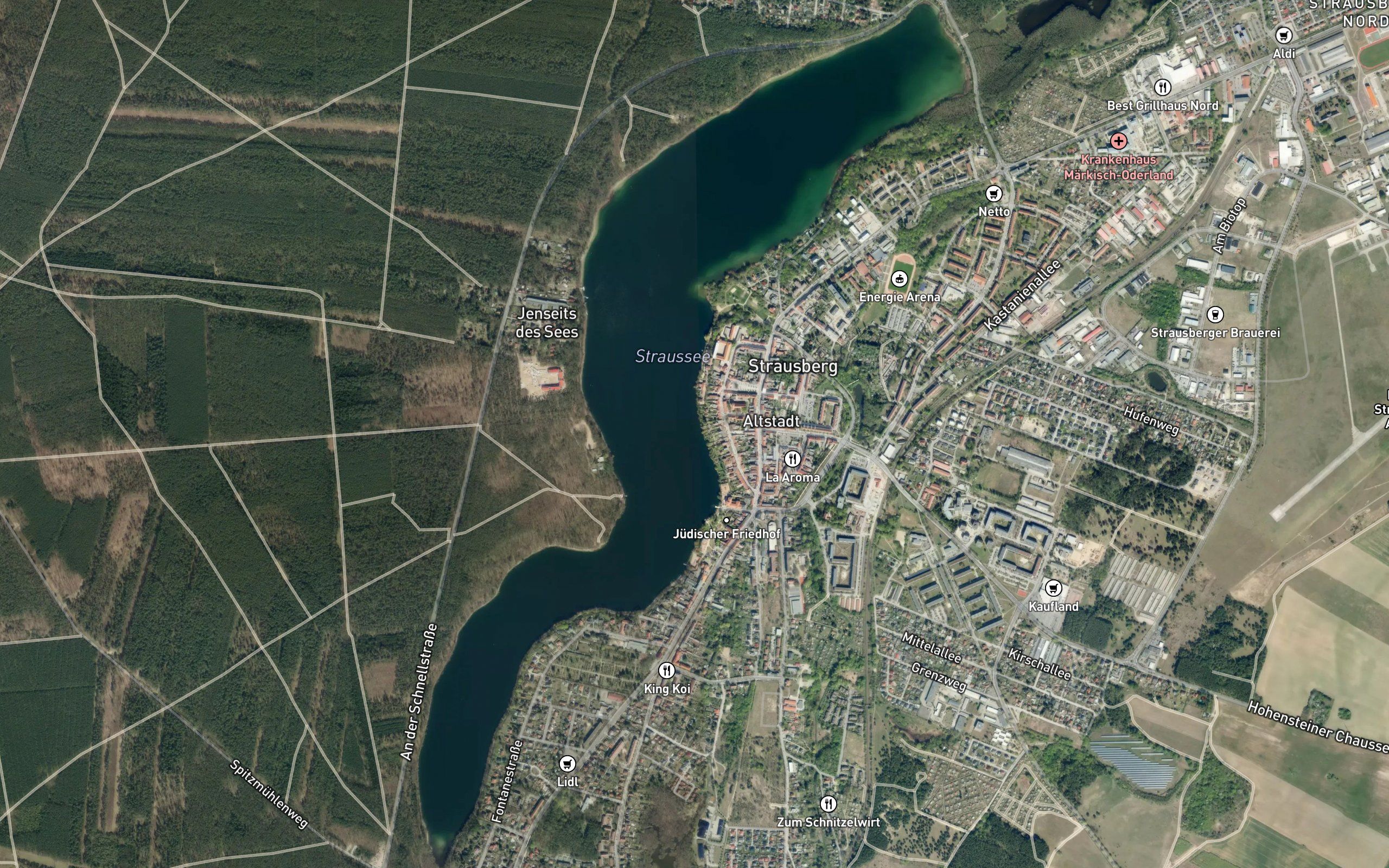 Straussee