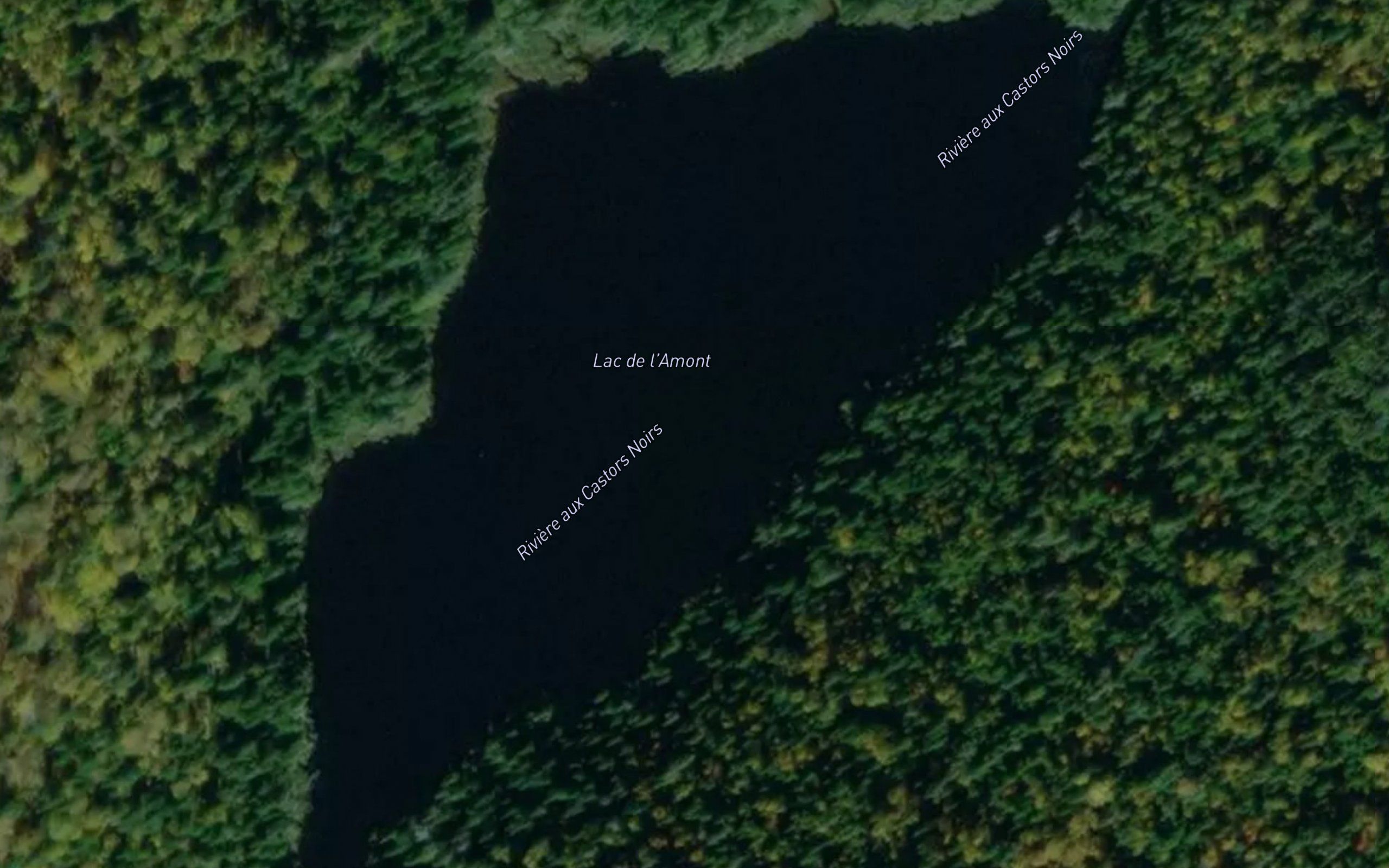 Lac de l'Amont