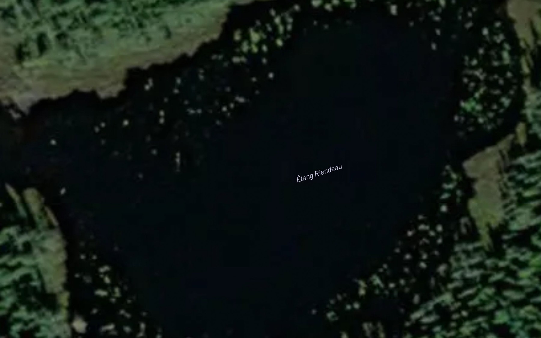 Satellite map of the Etang Riendeau