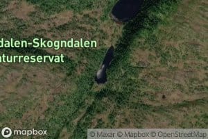 Litlgronningstjorna