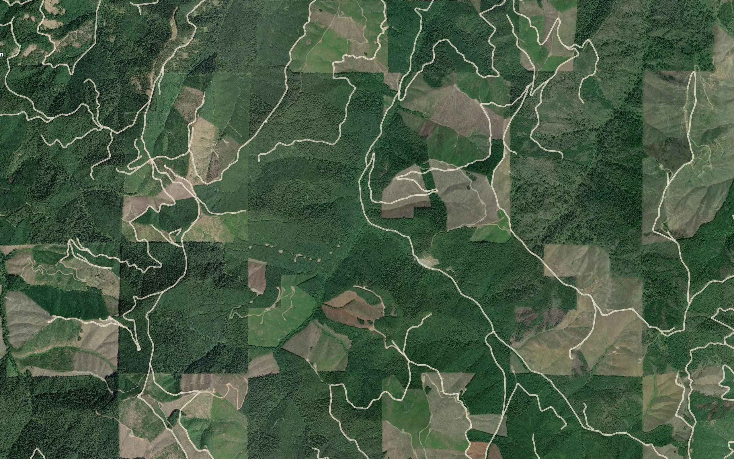 East Fork Shively Creek