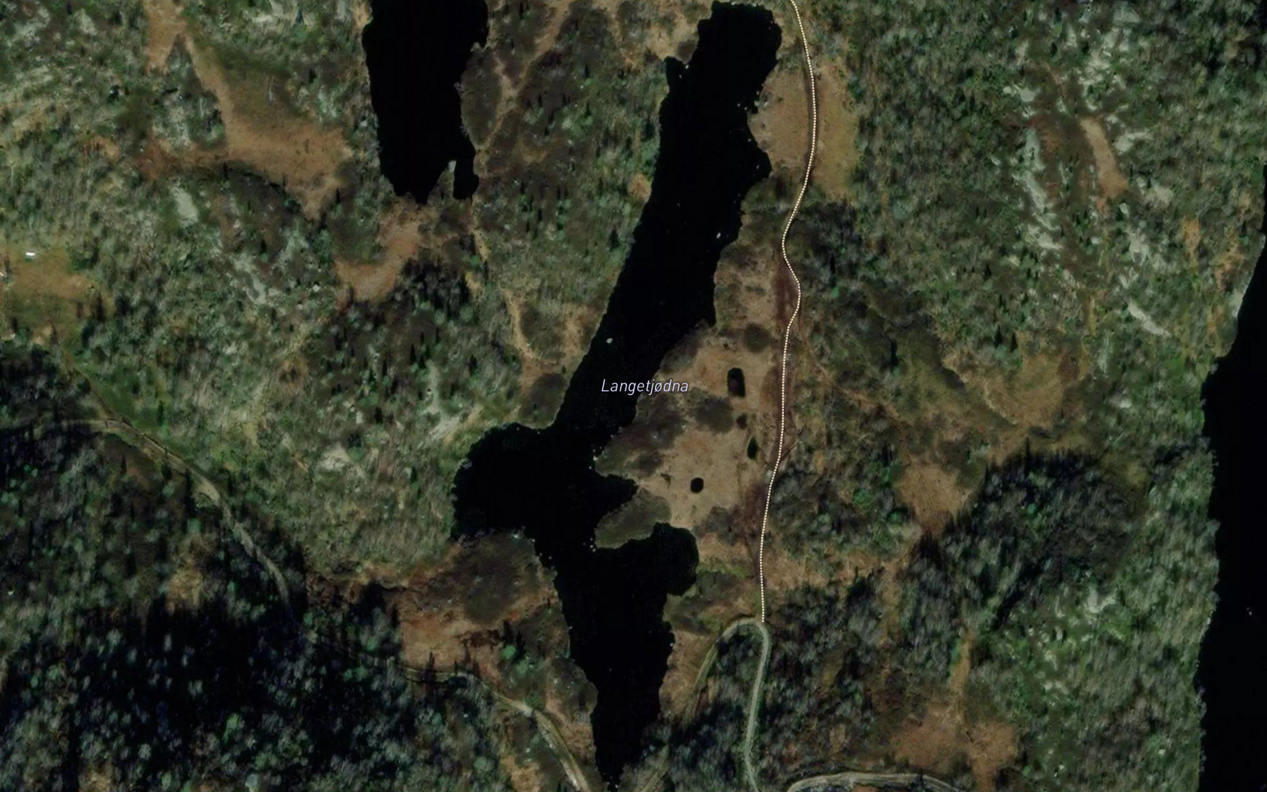 Langetjodna