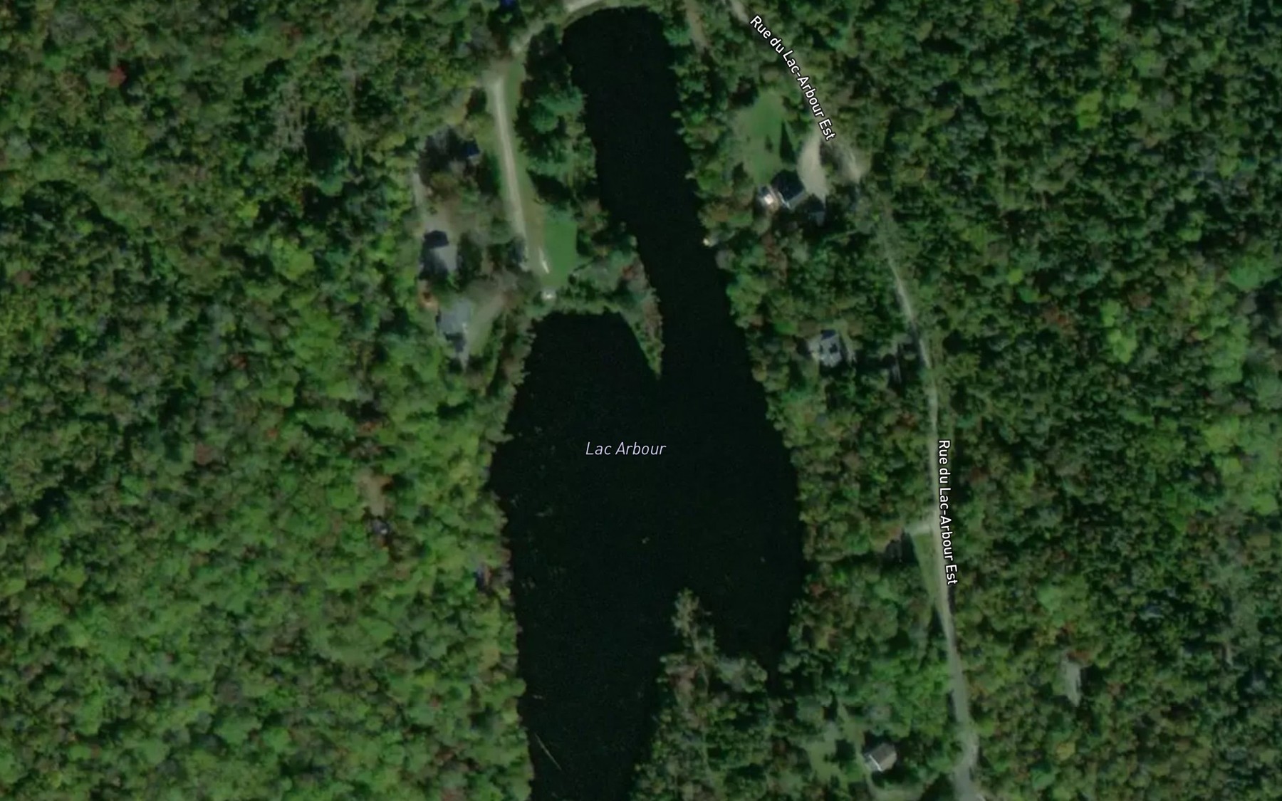 Satellite map of the Lac Arbour