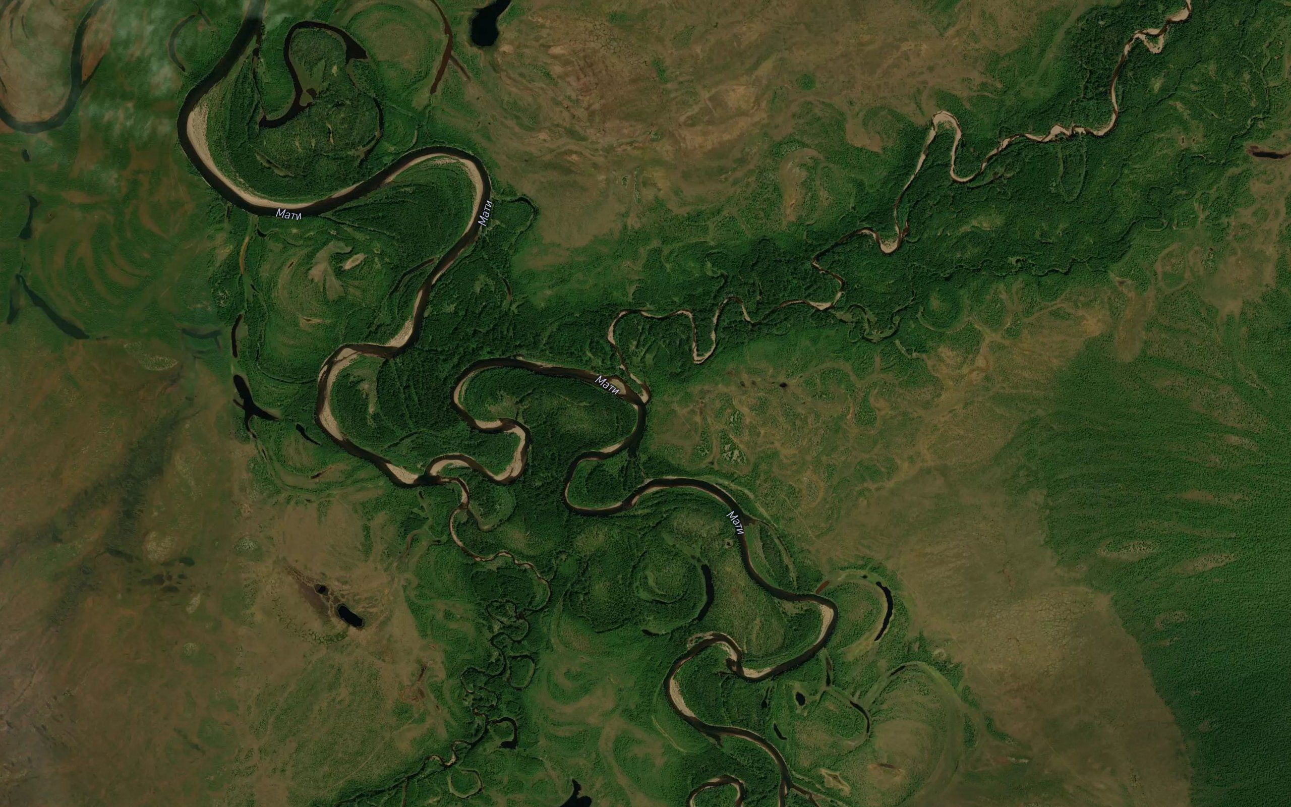 Cheremukhovaya