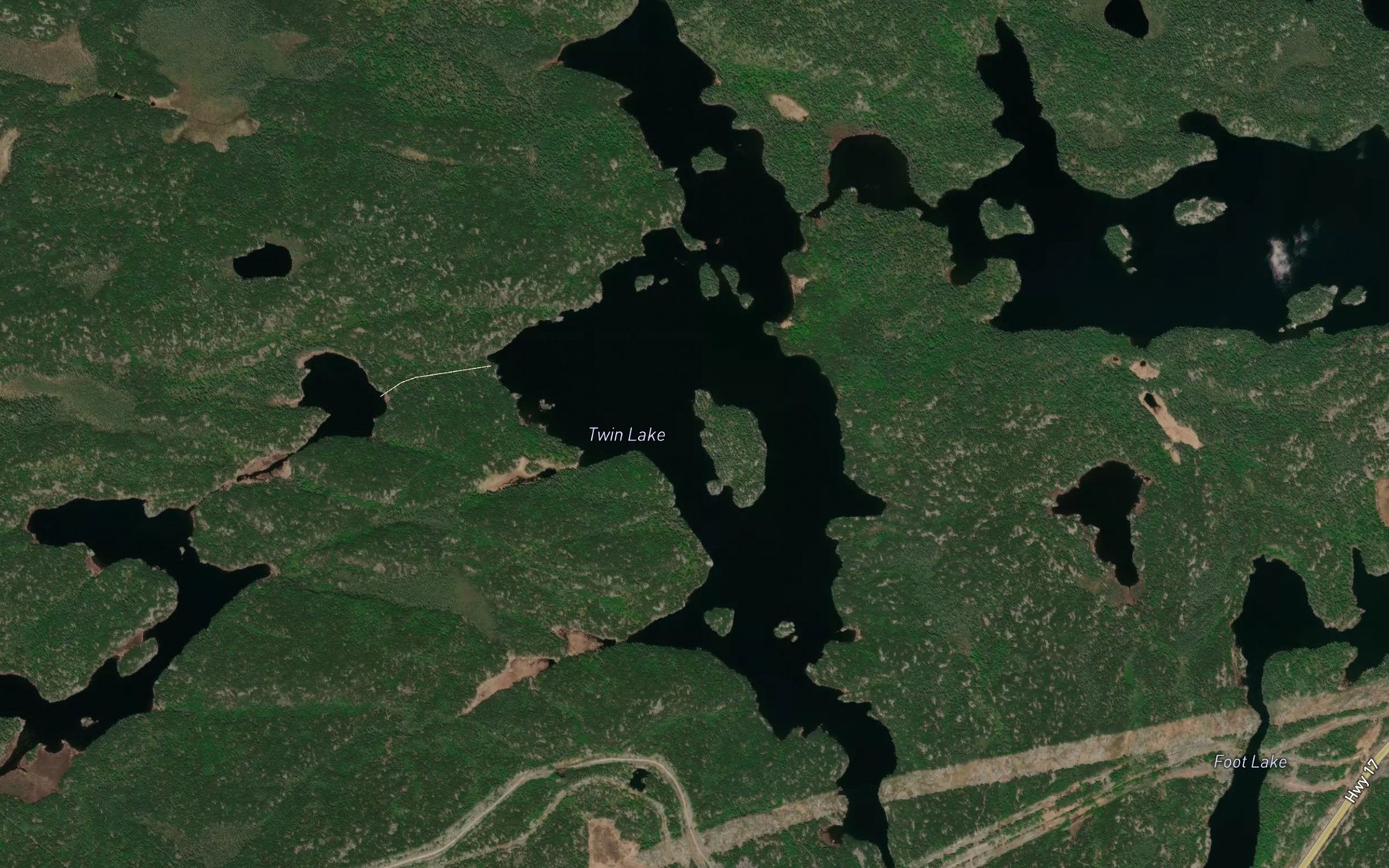 Satellite map of the Twin Lake