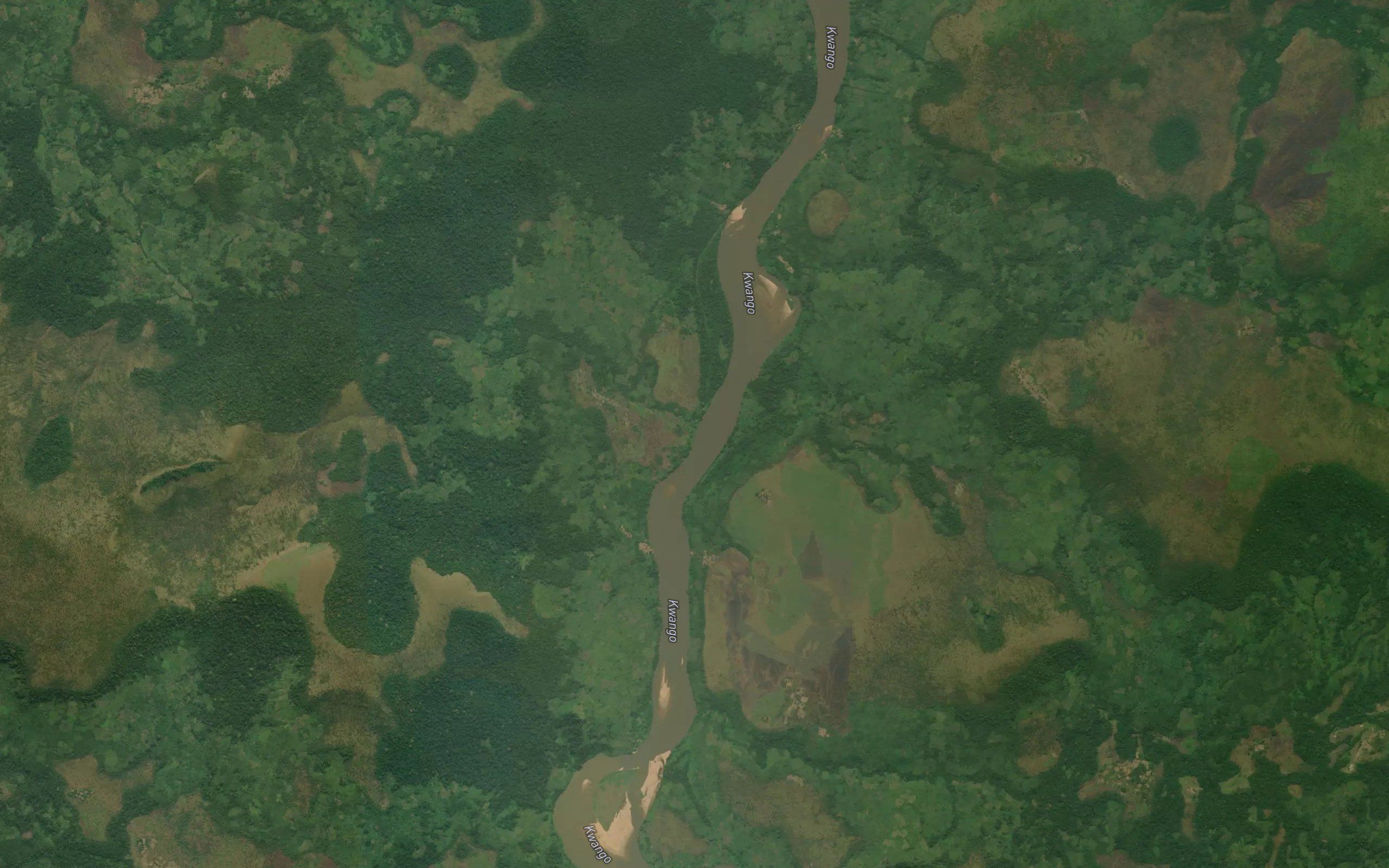 Punga