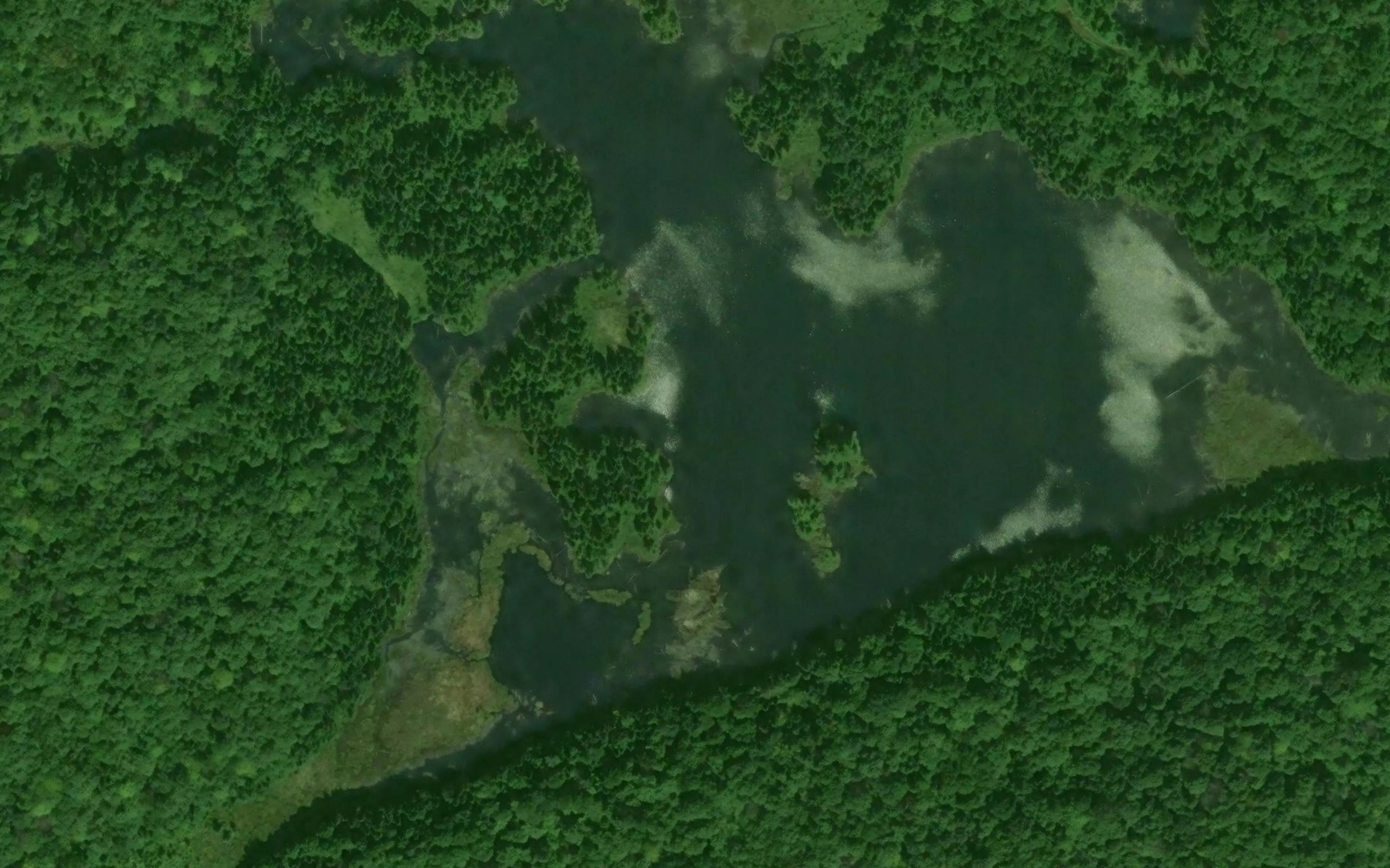 Satellite map of the Lac du Canard