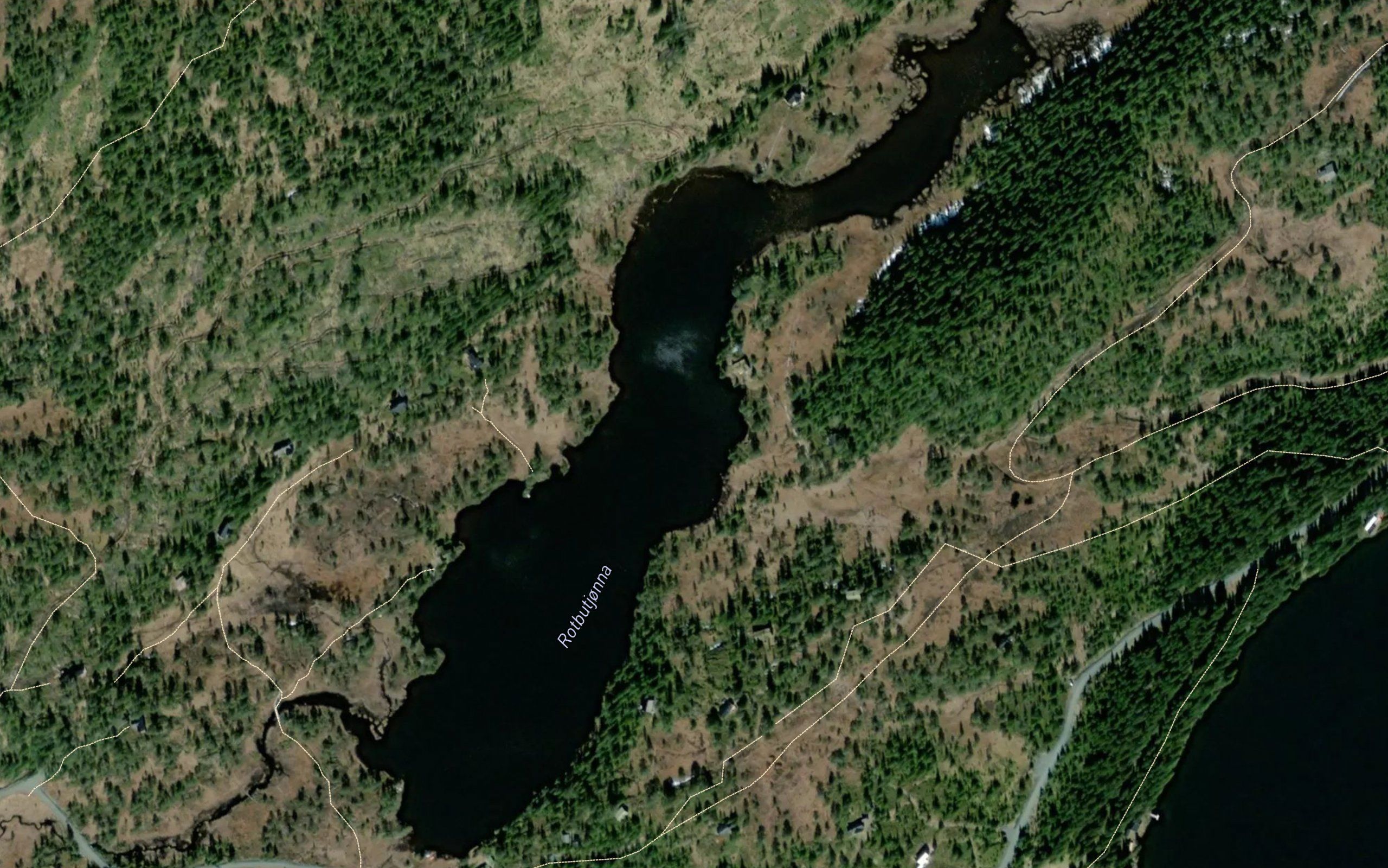 Rotbutjonna