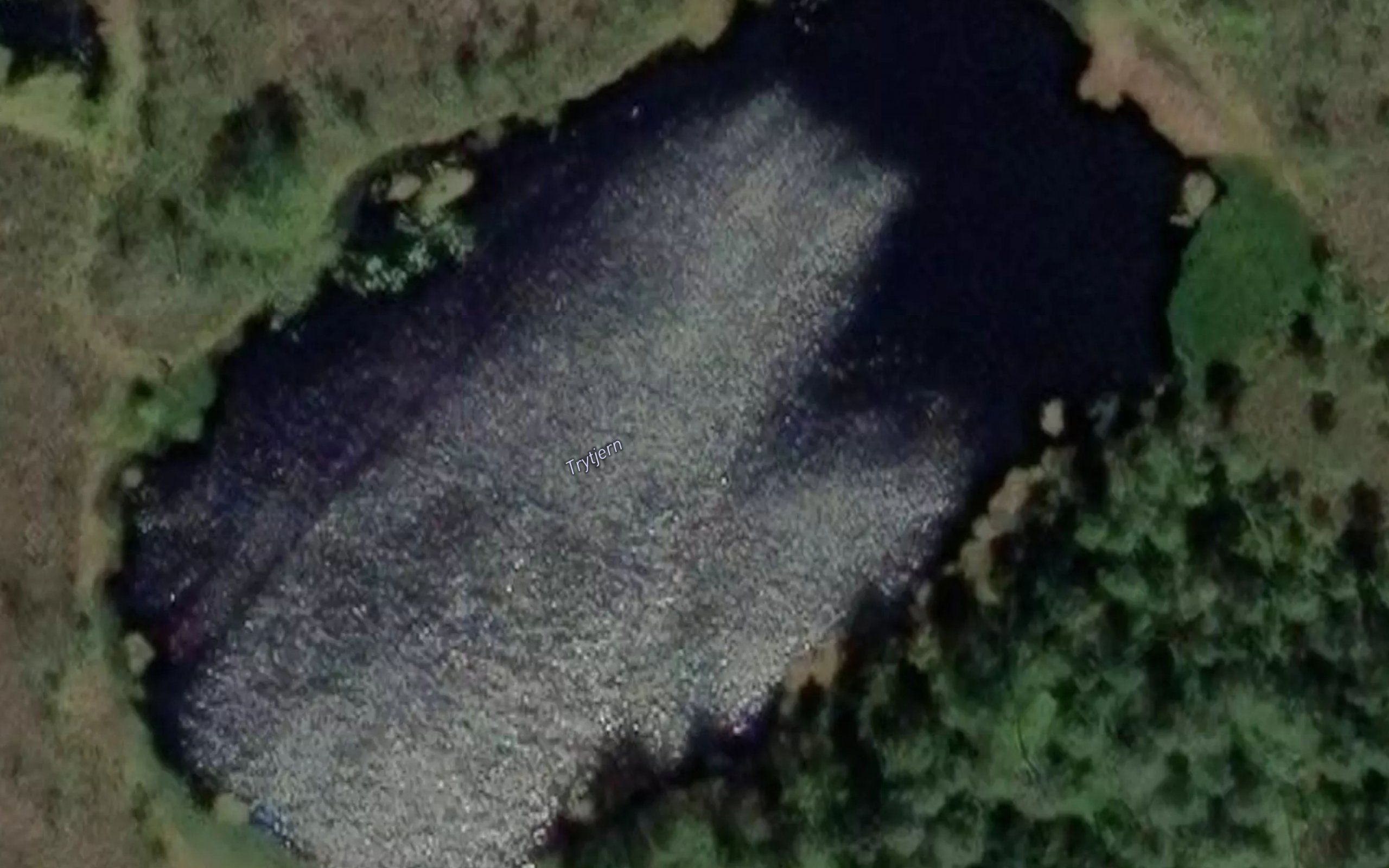Trytjerna