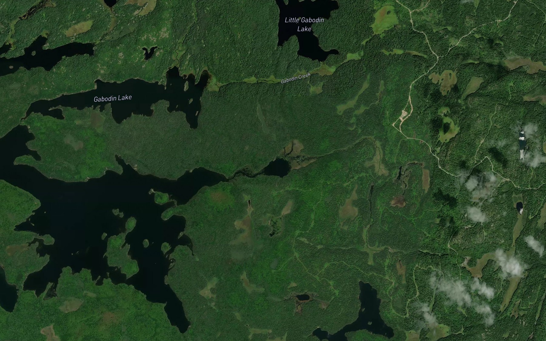 Satellite map of the Deer Lake