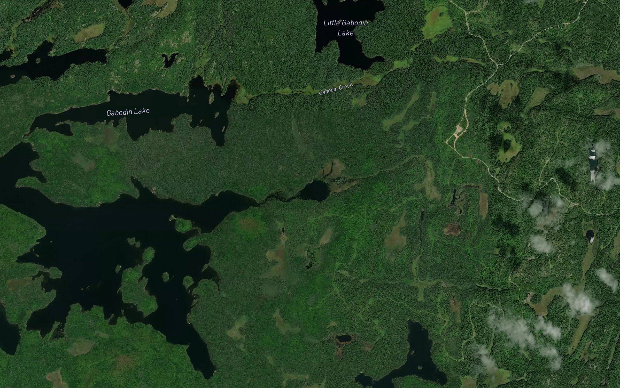 Deer Lake