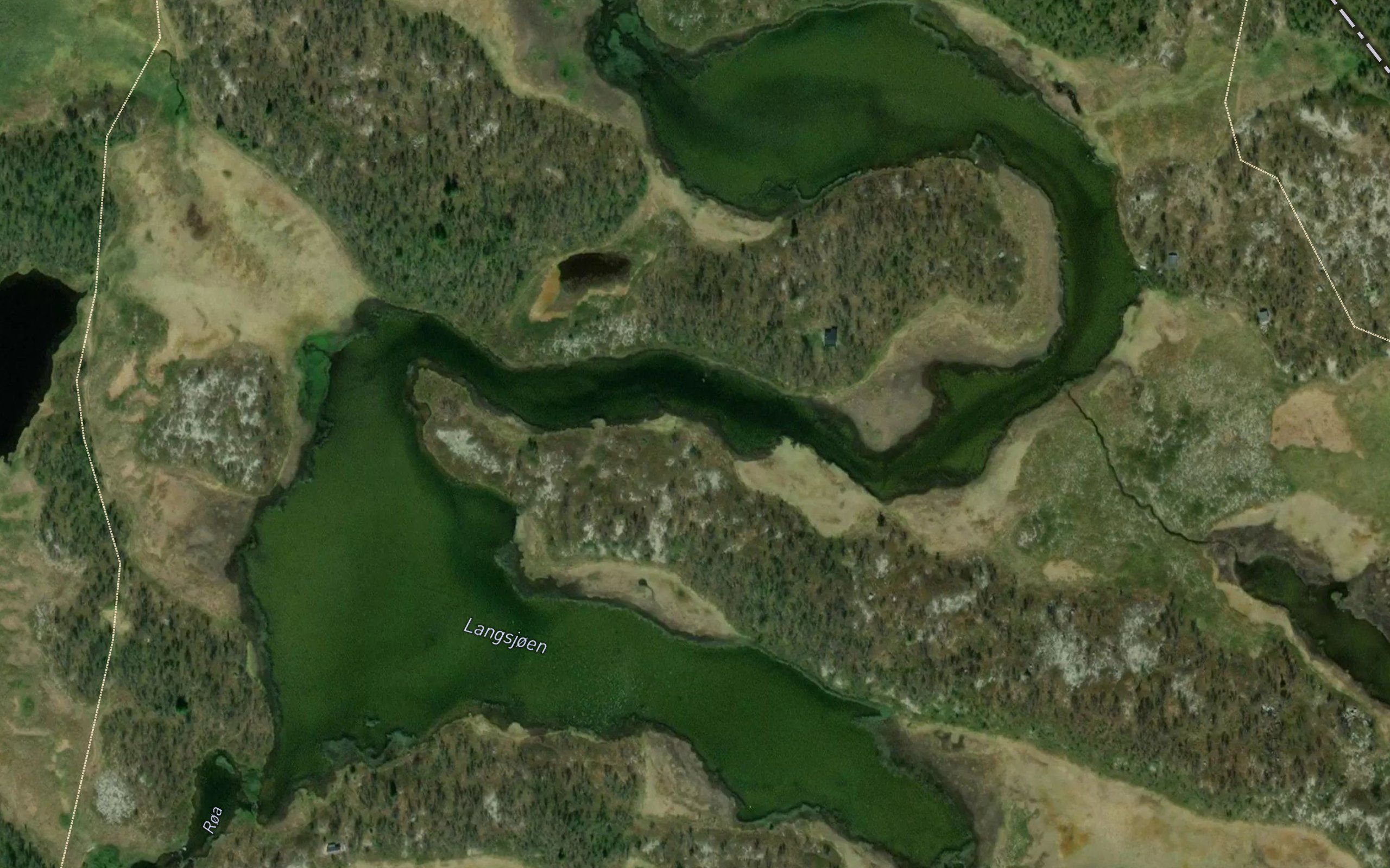 Langsjoen