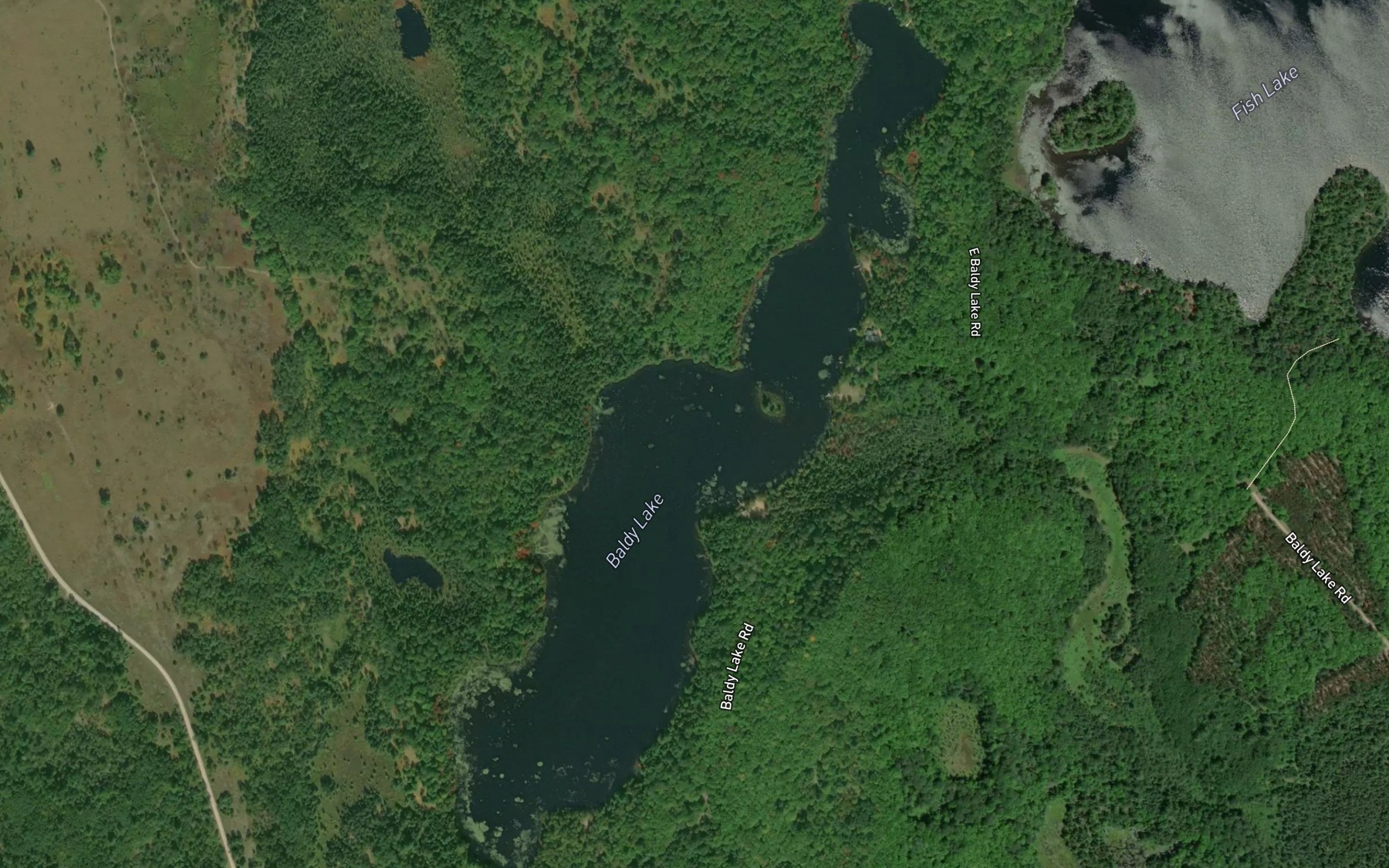 Satellite map of the Baldy Lake